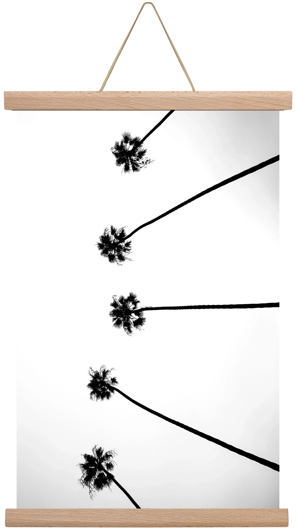 Cali Cathedrals - artbridge