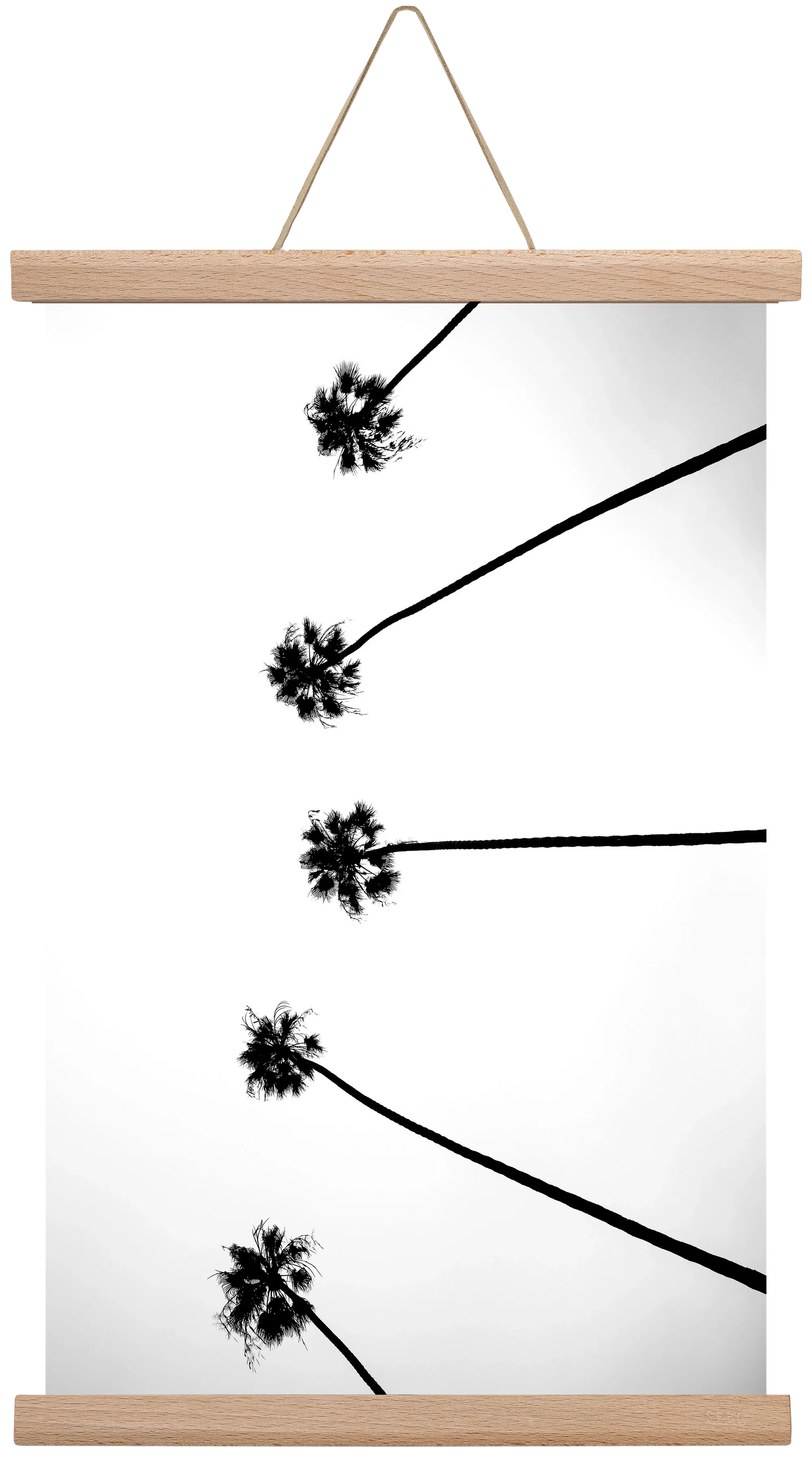 Cali Cathedrals - artbridge