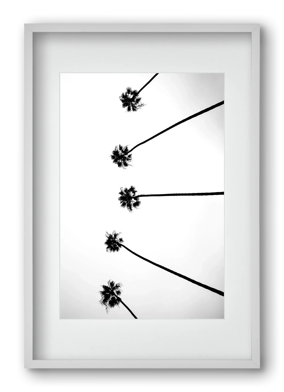 Cali Cathedrals - artbridge