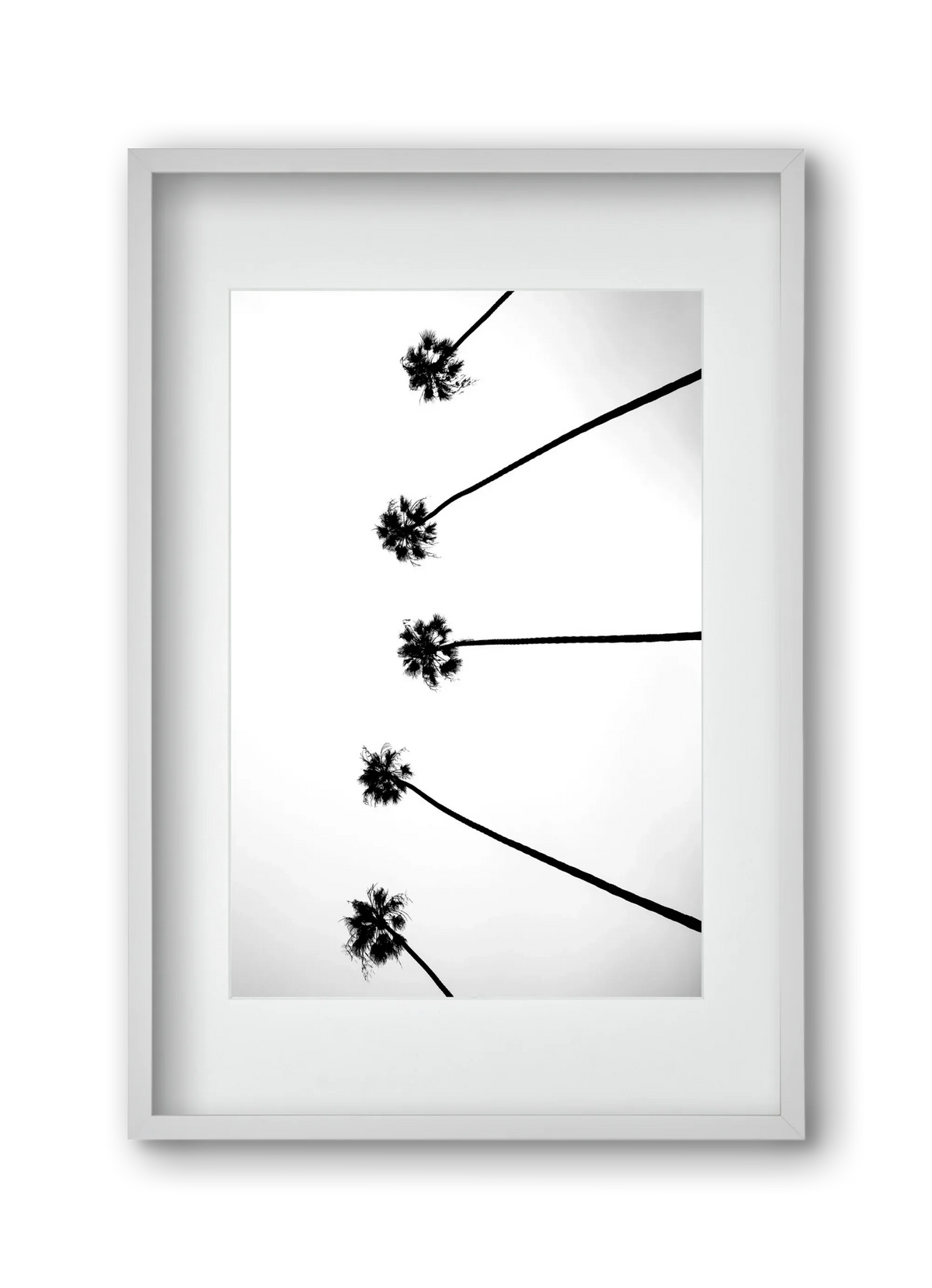 Cali Cathedrals - artbridge