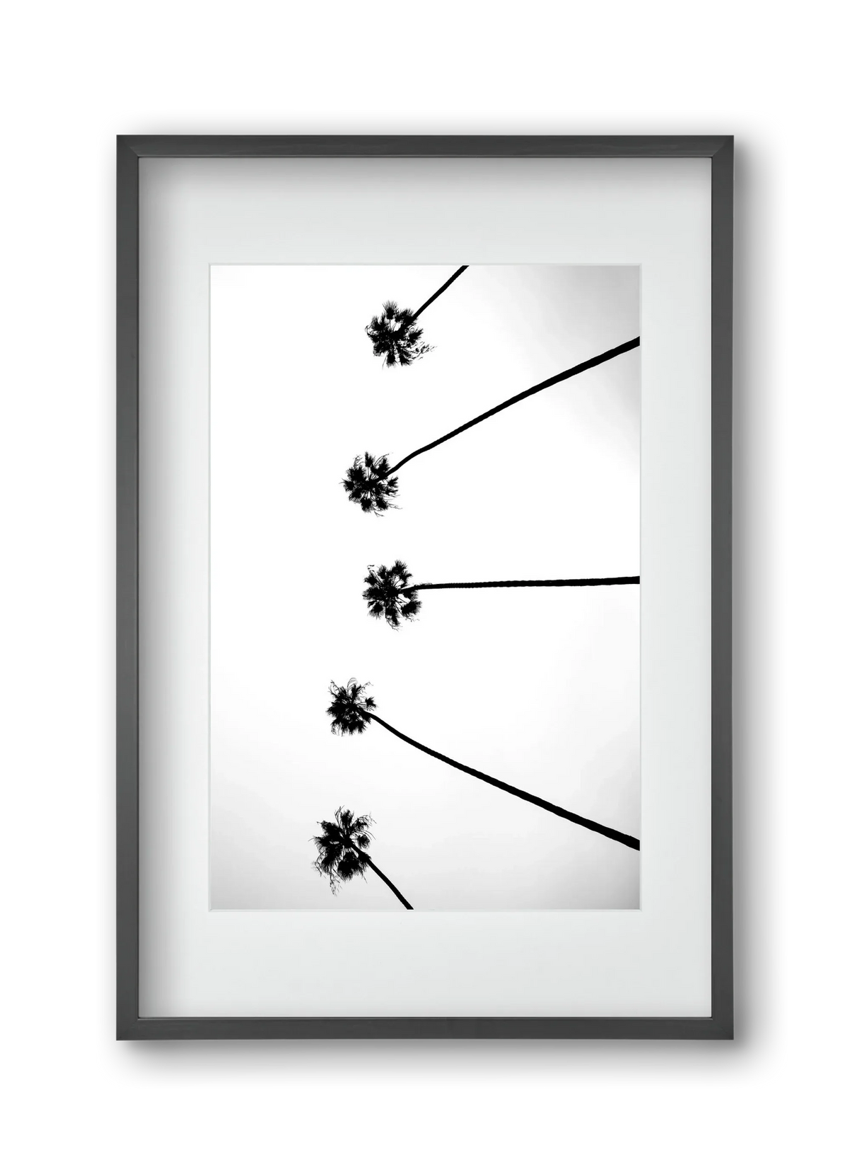 Cali Cathedrals - artbridge