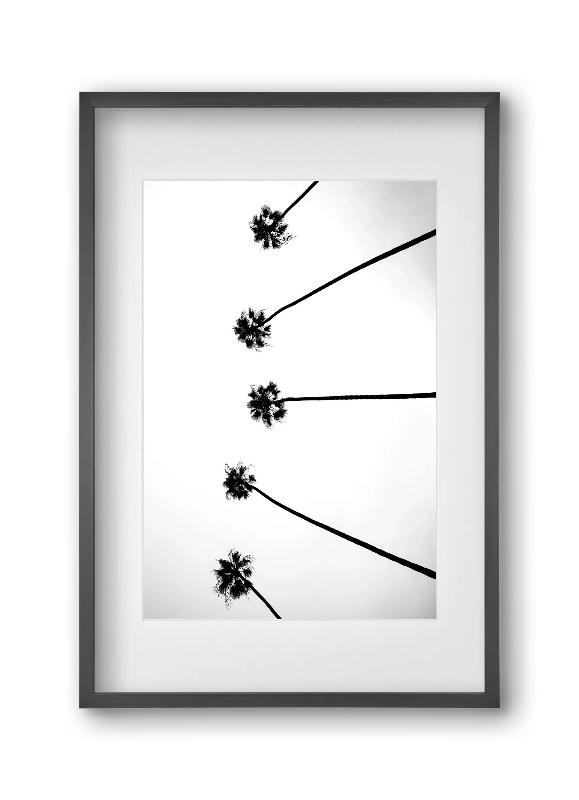 Cali Cathedrals - artbridge