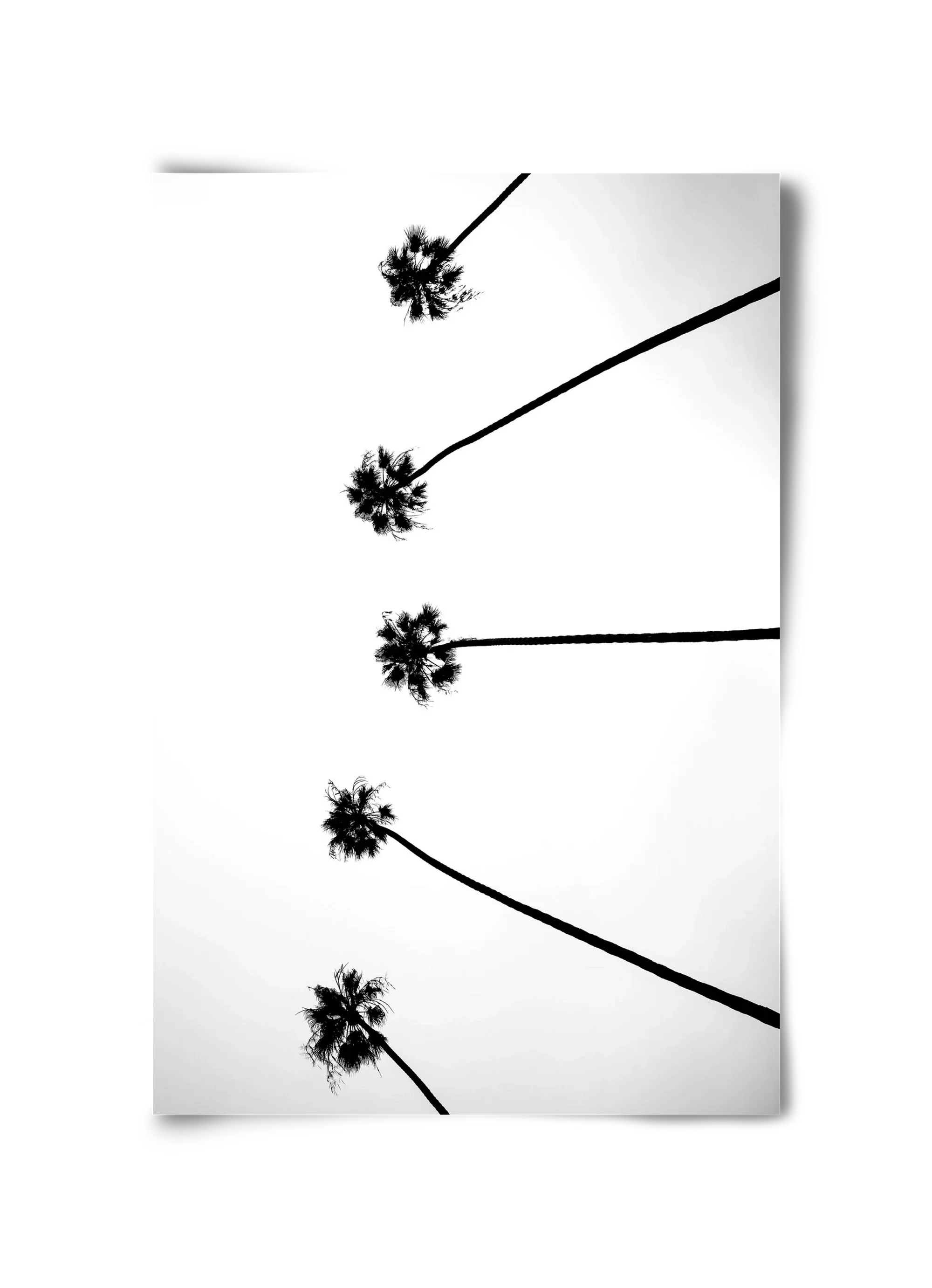 Cali Cathedrals - artbridge