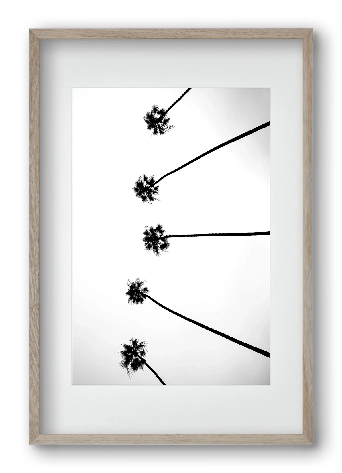 Cali Cathedrals - artbridge