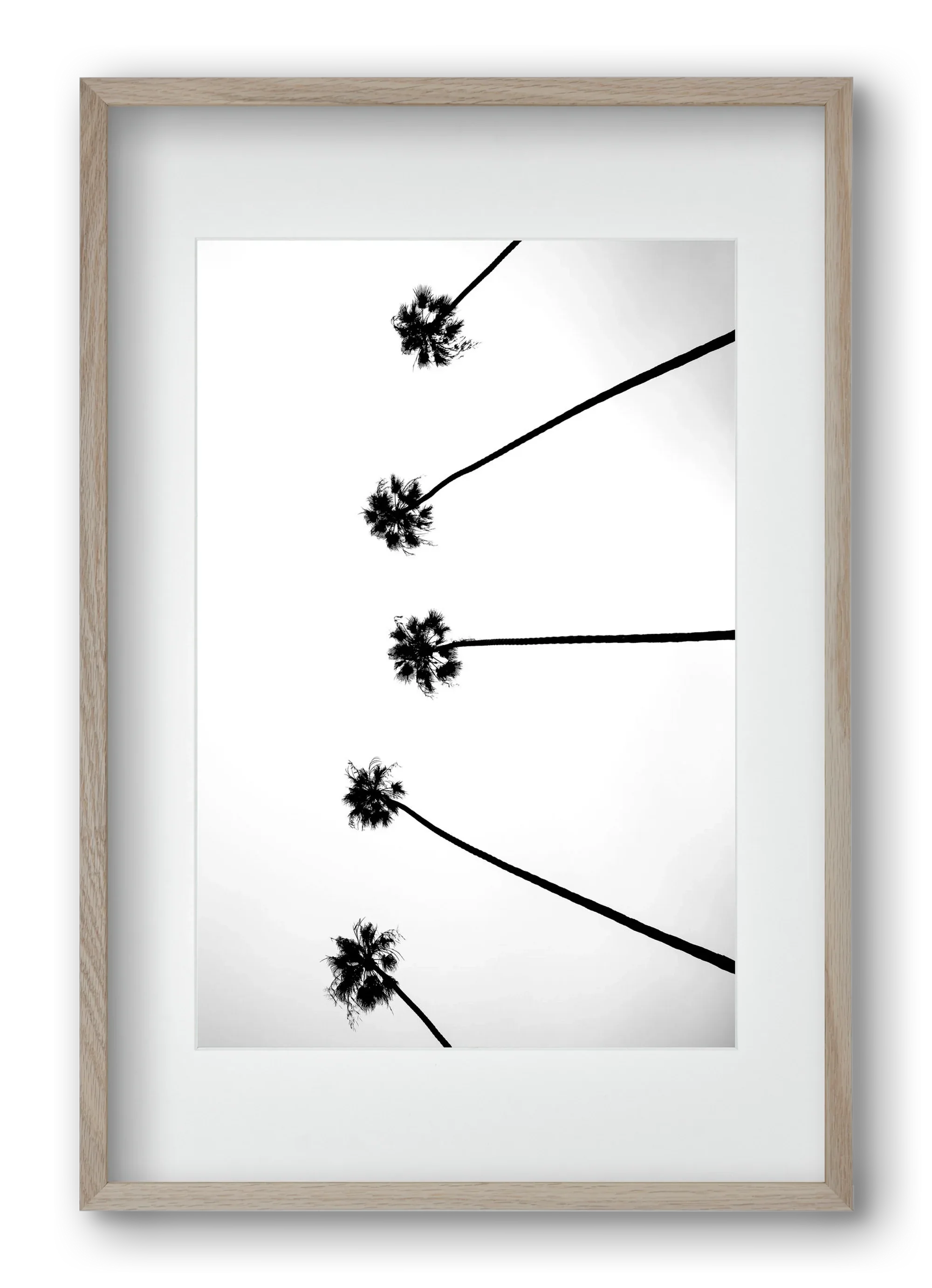Cali Cathedrals - artbridge