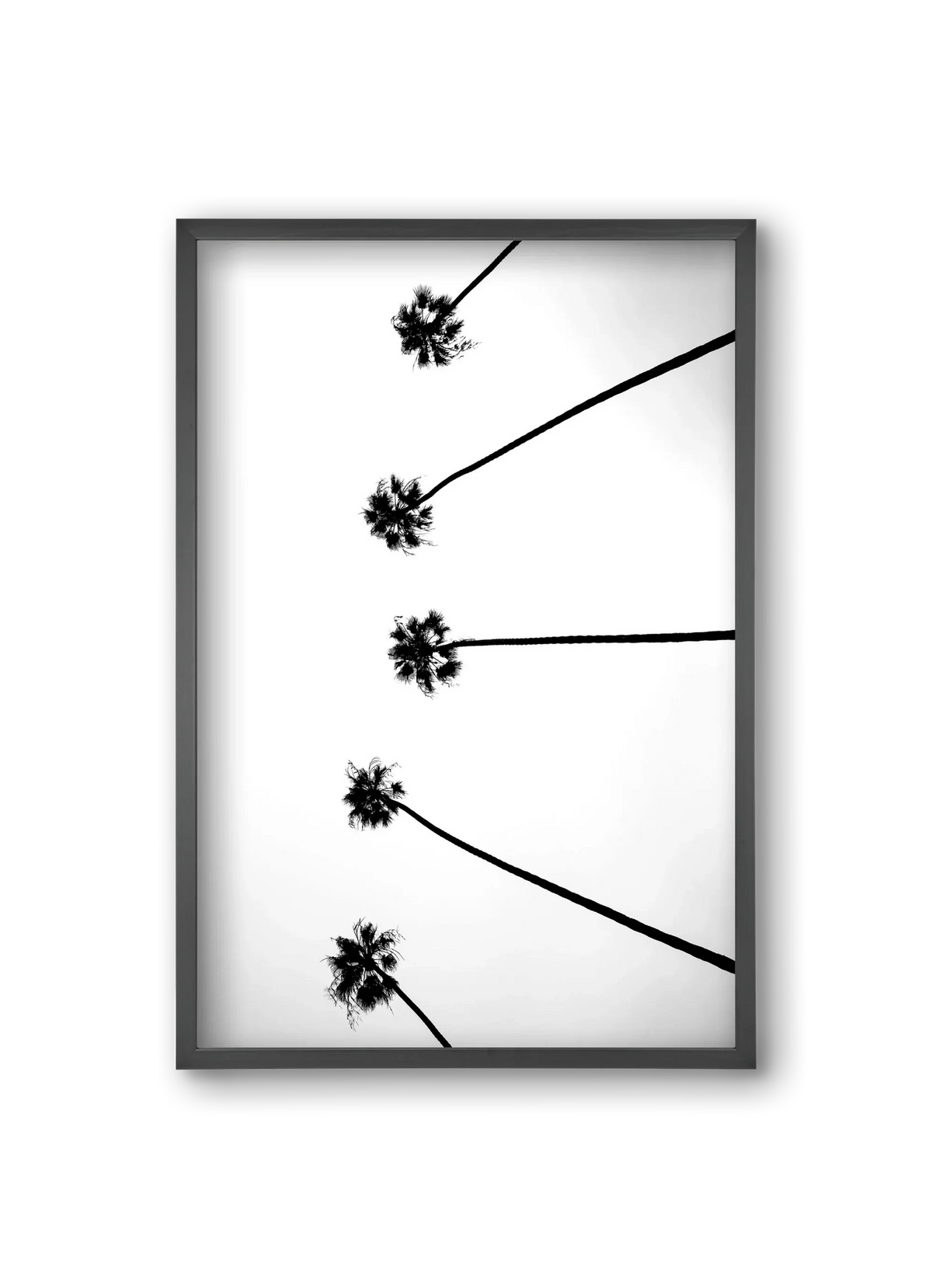Cali Cathedrals - artbridge