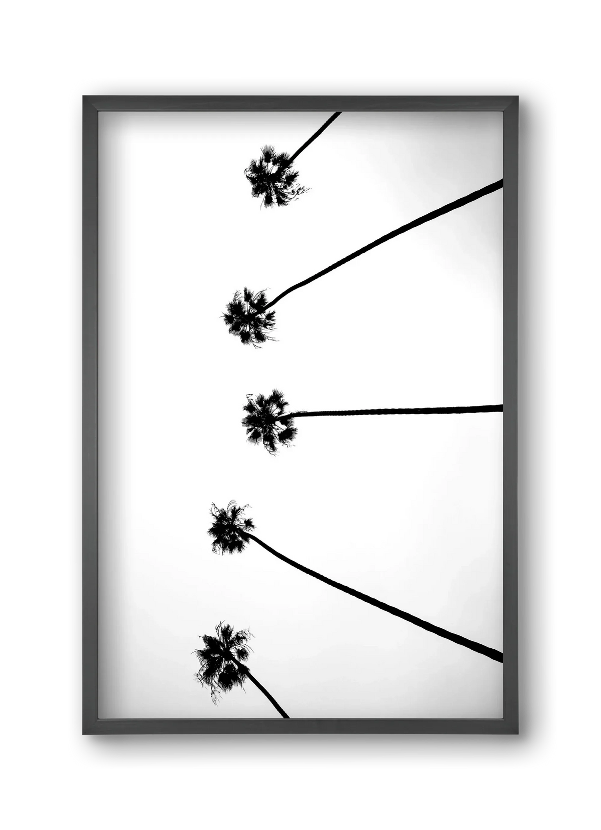 Cali Cathedrals - artbridge