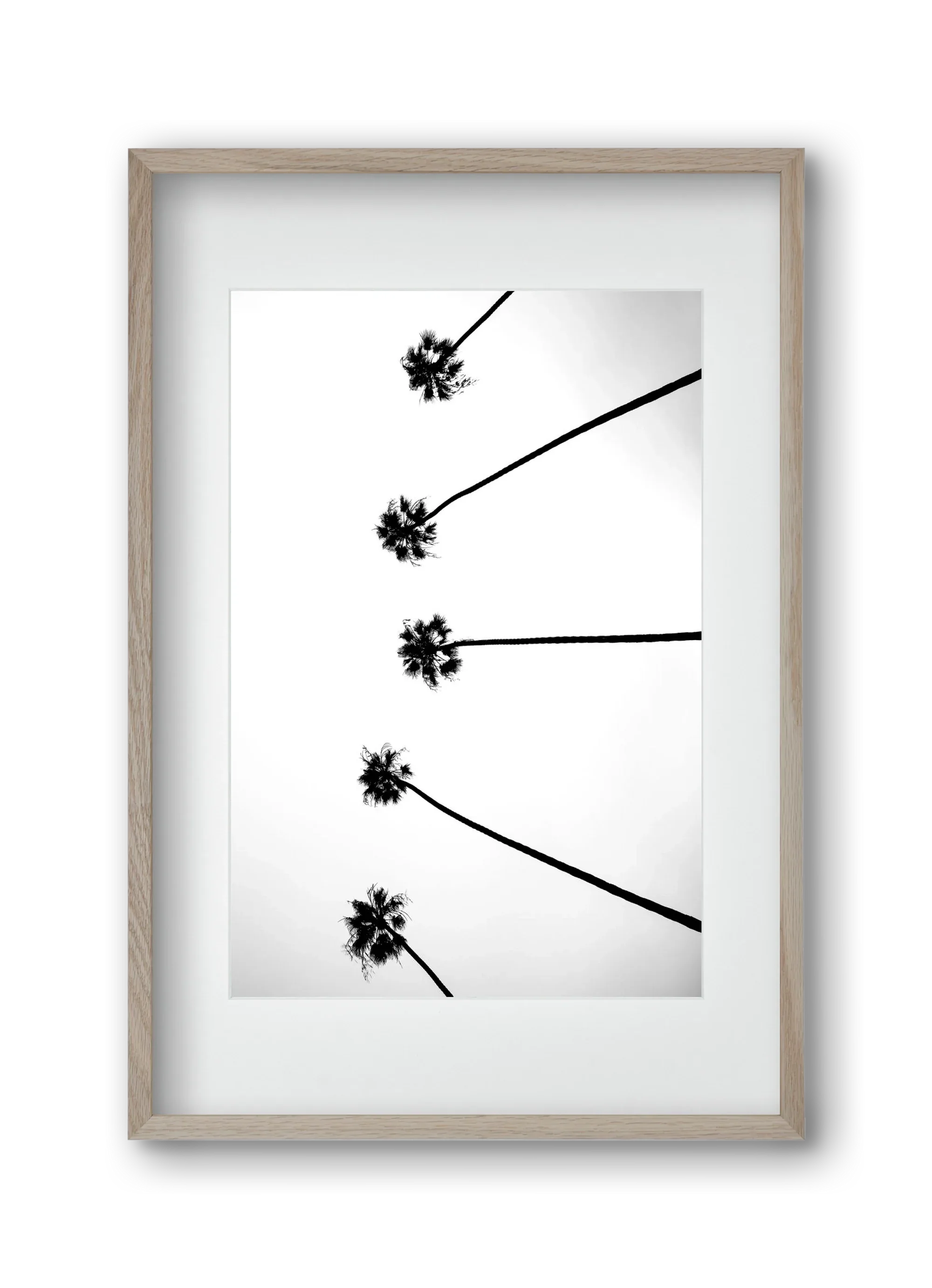 Cali Cathedrals - artbridge