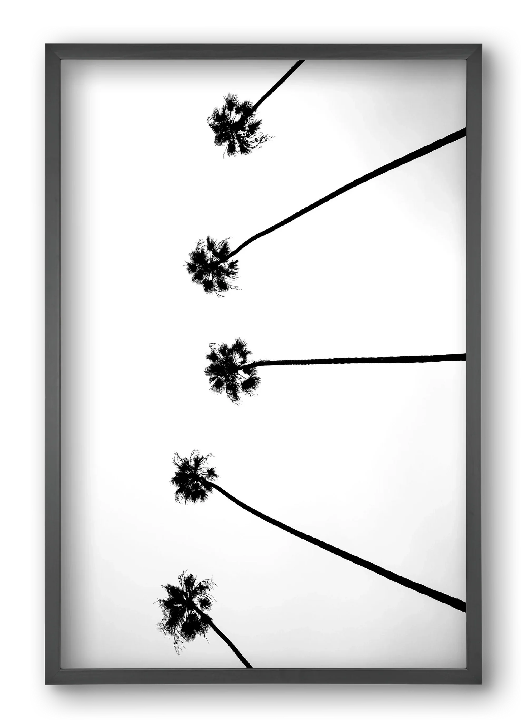 Cali Cathedrals - artbridge