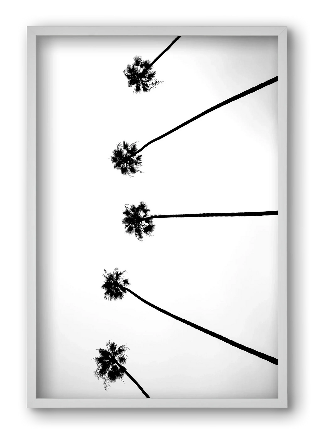 Cali Cathedrals - artbridge