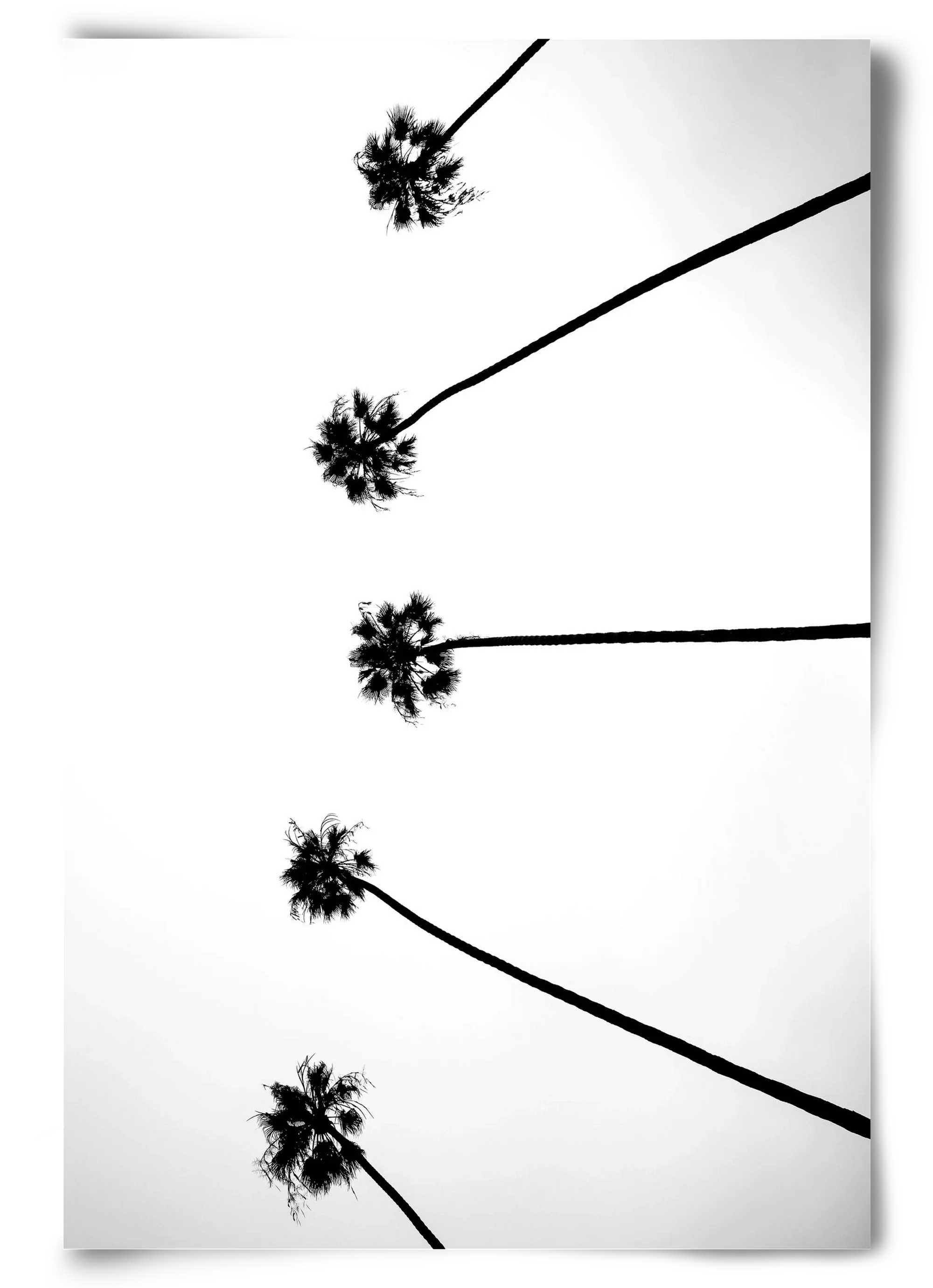 Cali Cathedrals - artbridge