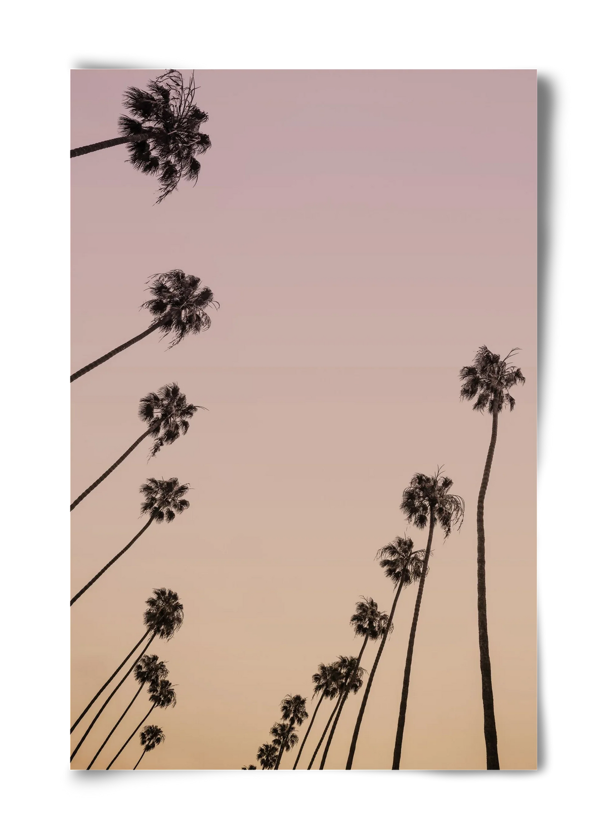 Cali Cathedrals II. - artbridge