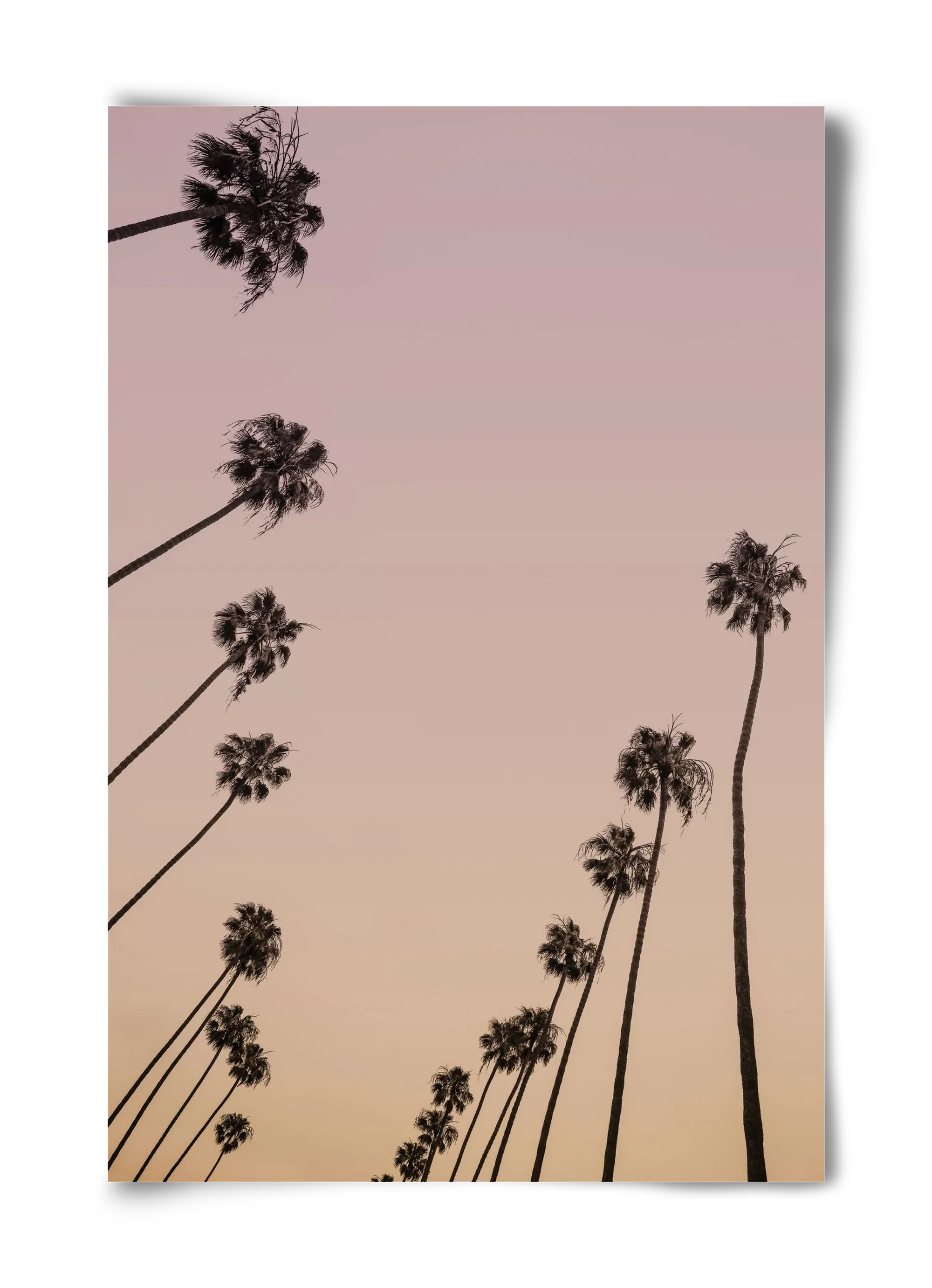 Cali Cathedrals II. - artbridge