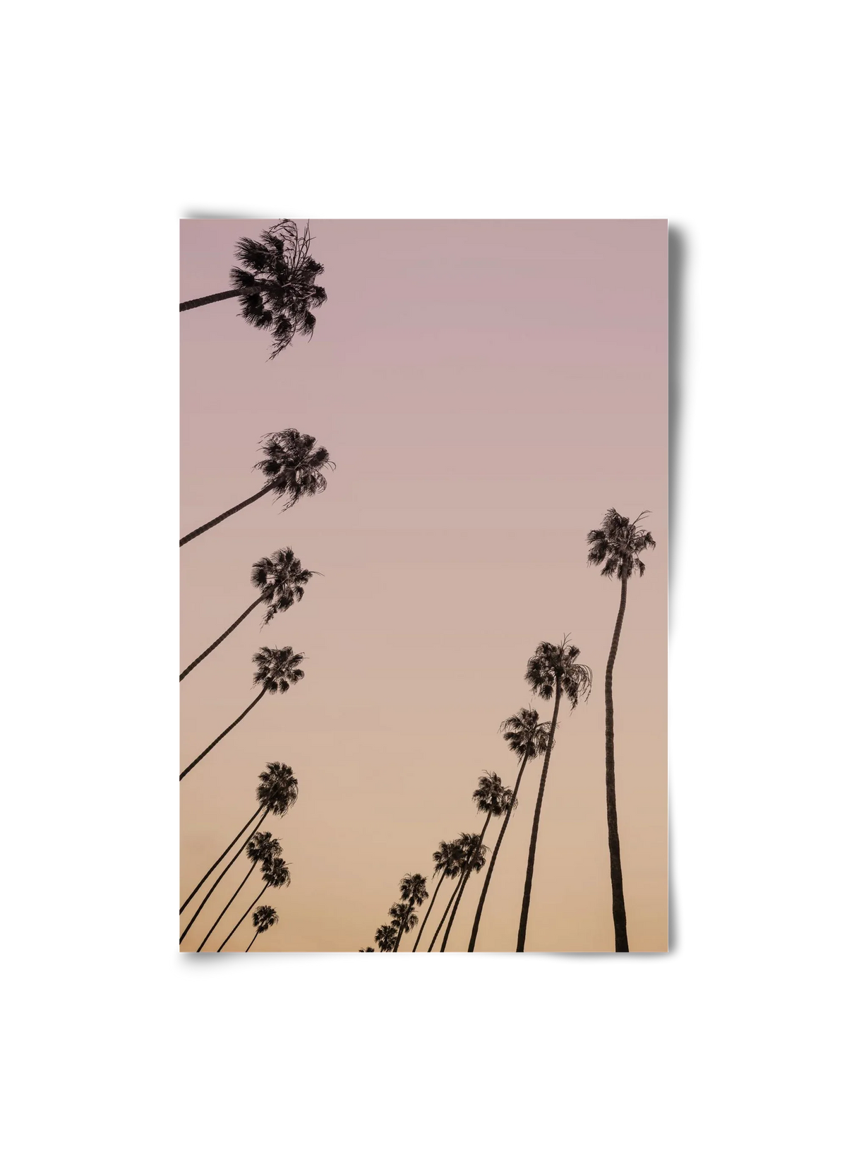 Cali Cathedrals II. - artbridge
