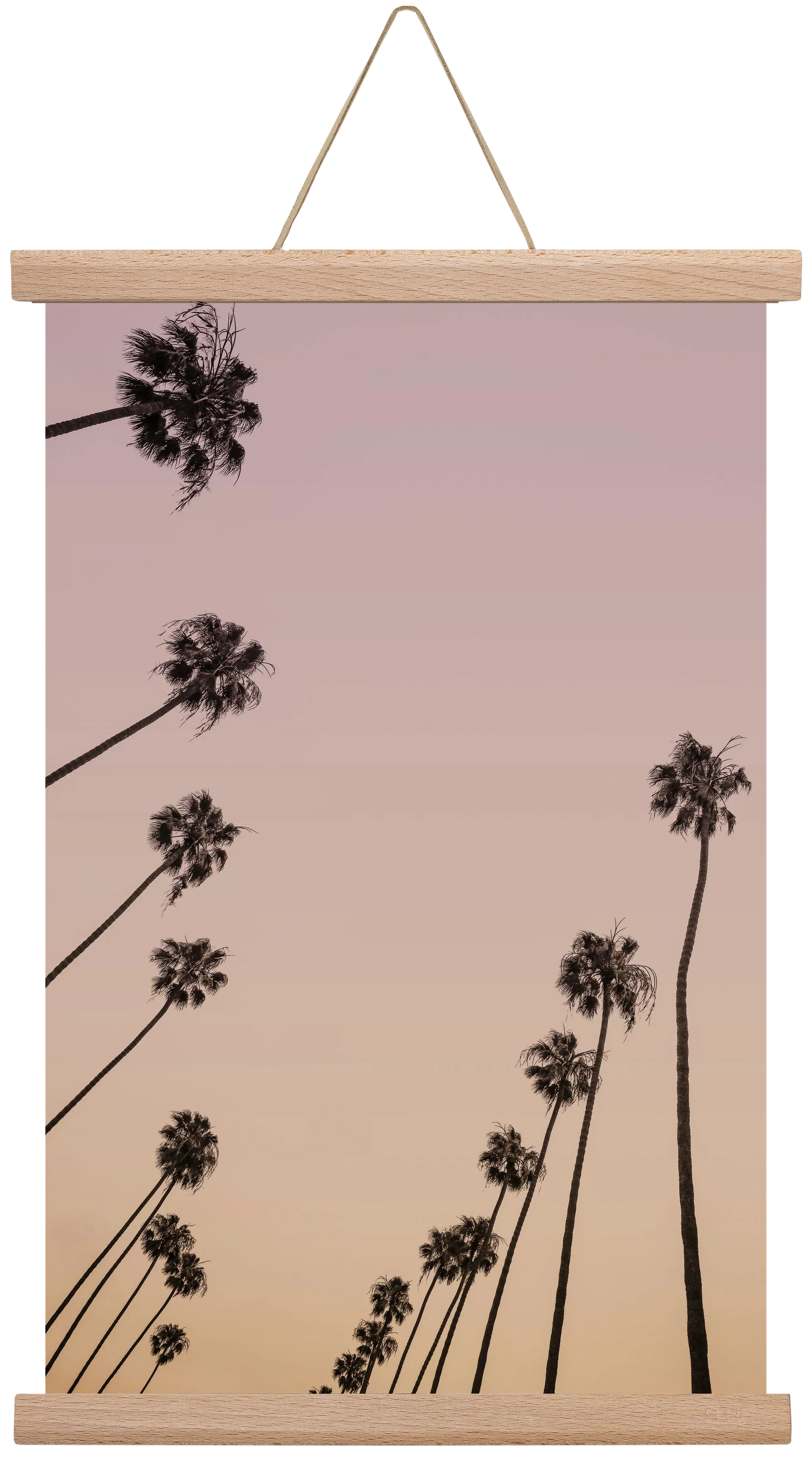Cali Cathedrals II. - artbridge