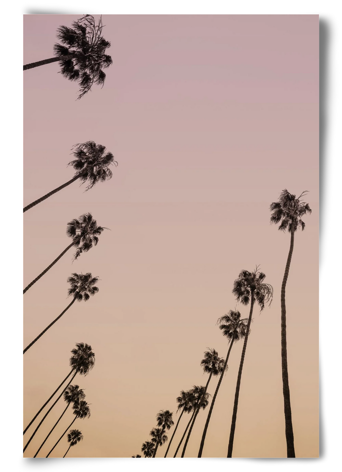 Cali Cathedrals II. - artbridge