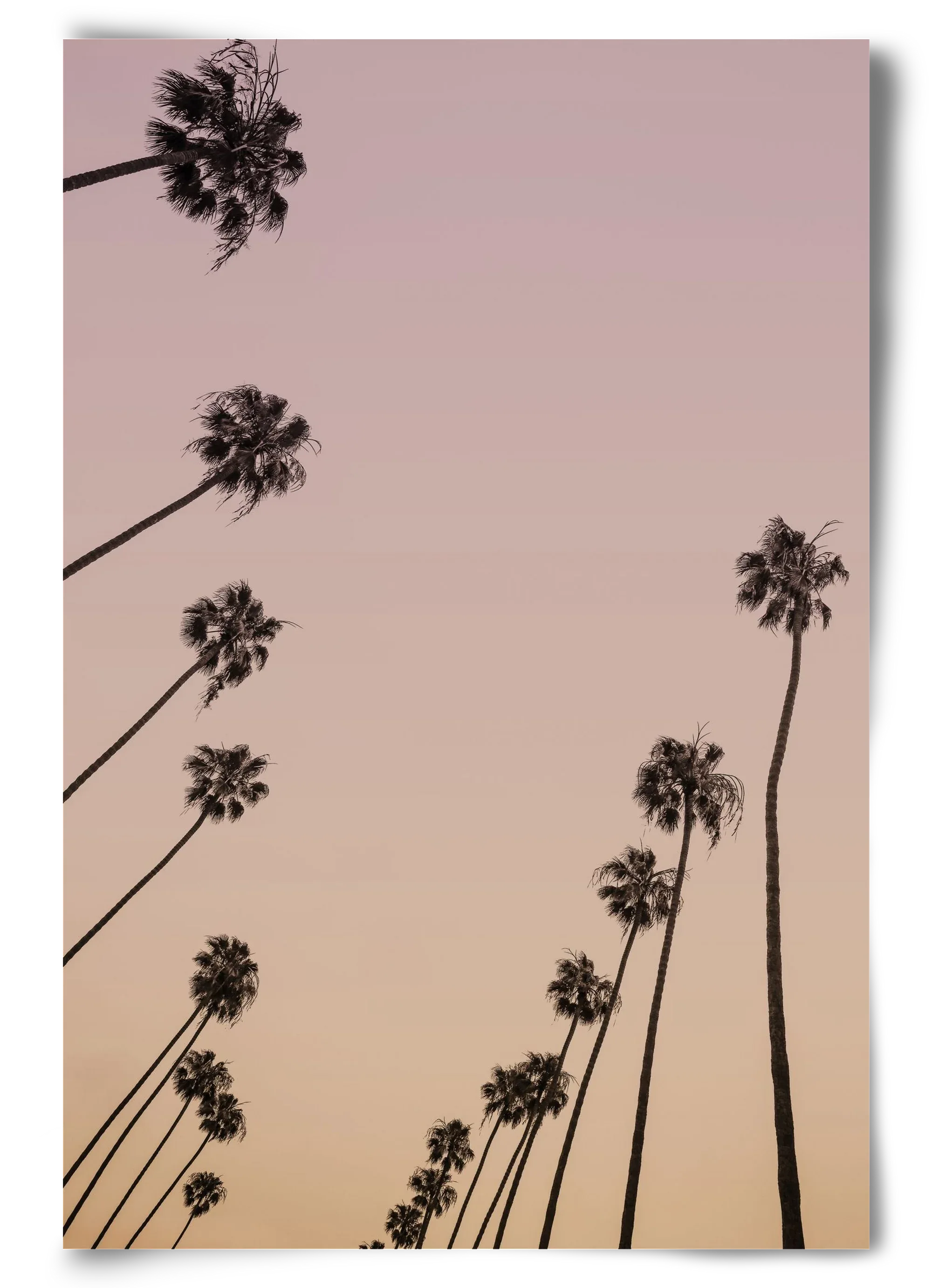 Cali Cathedrals II. - artbridge