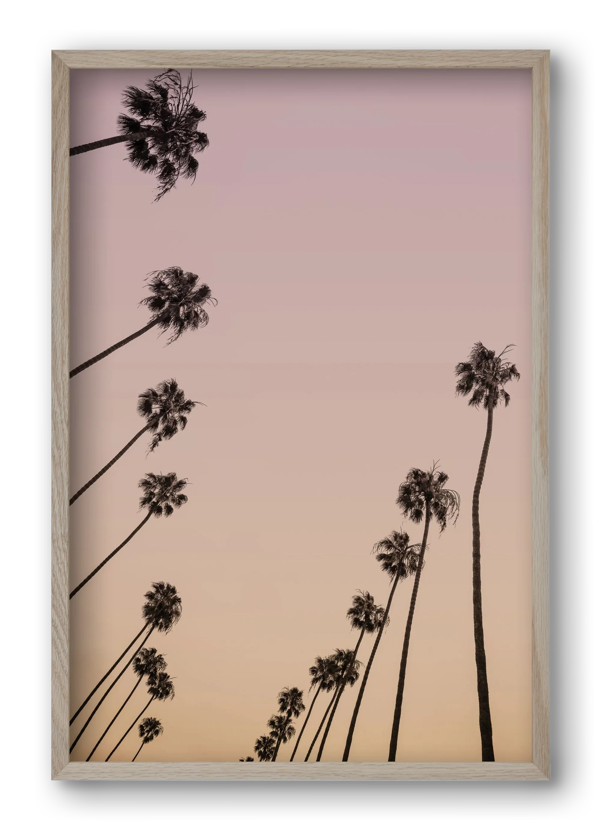 Cali Cathedrals II. - artbridge