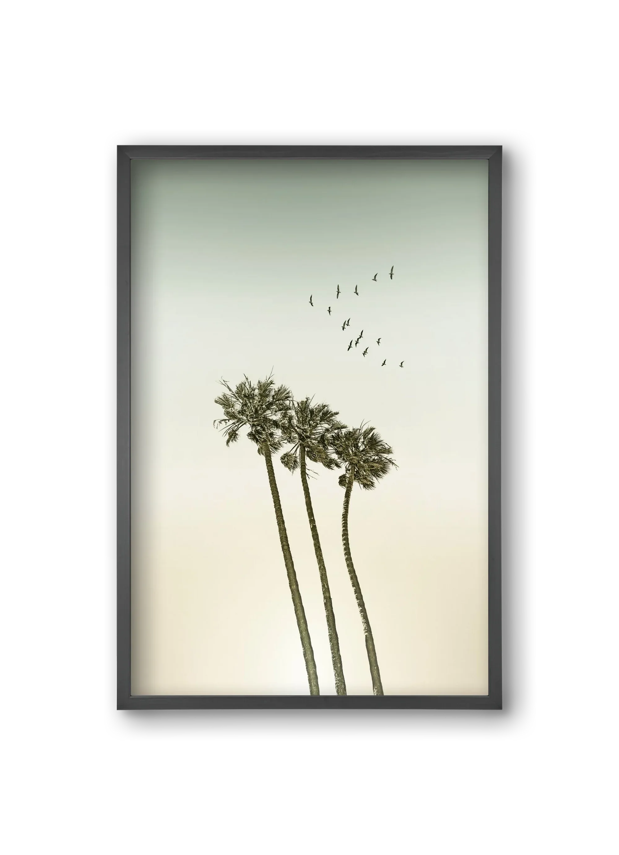 Vintage palm trees at sunset - artbridge