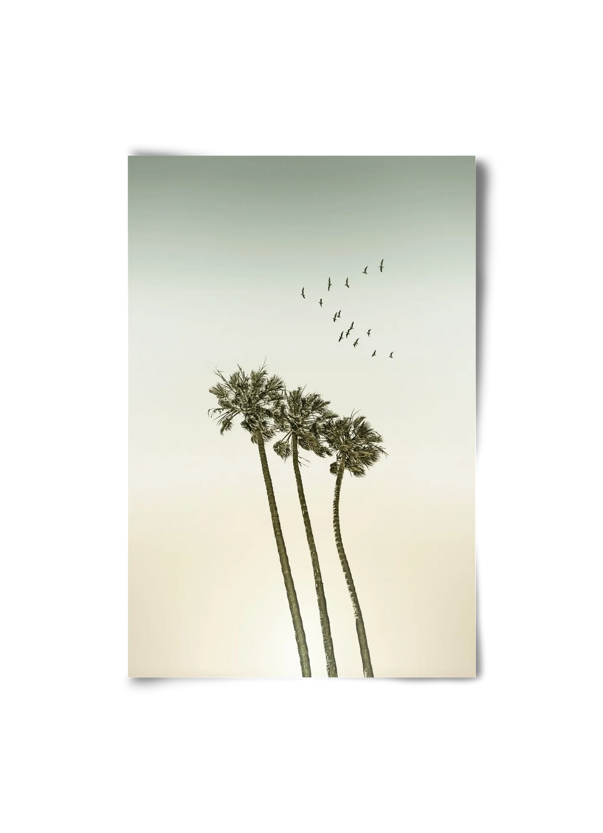 Vintage palm trees at sunset - artbridge
