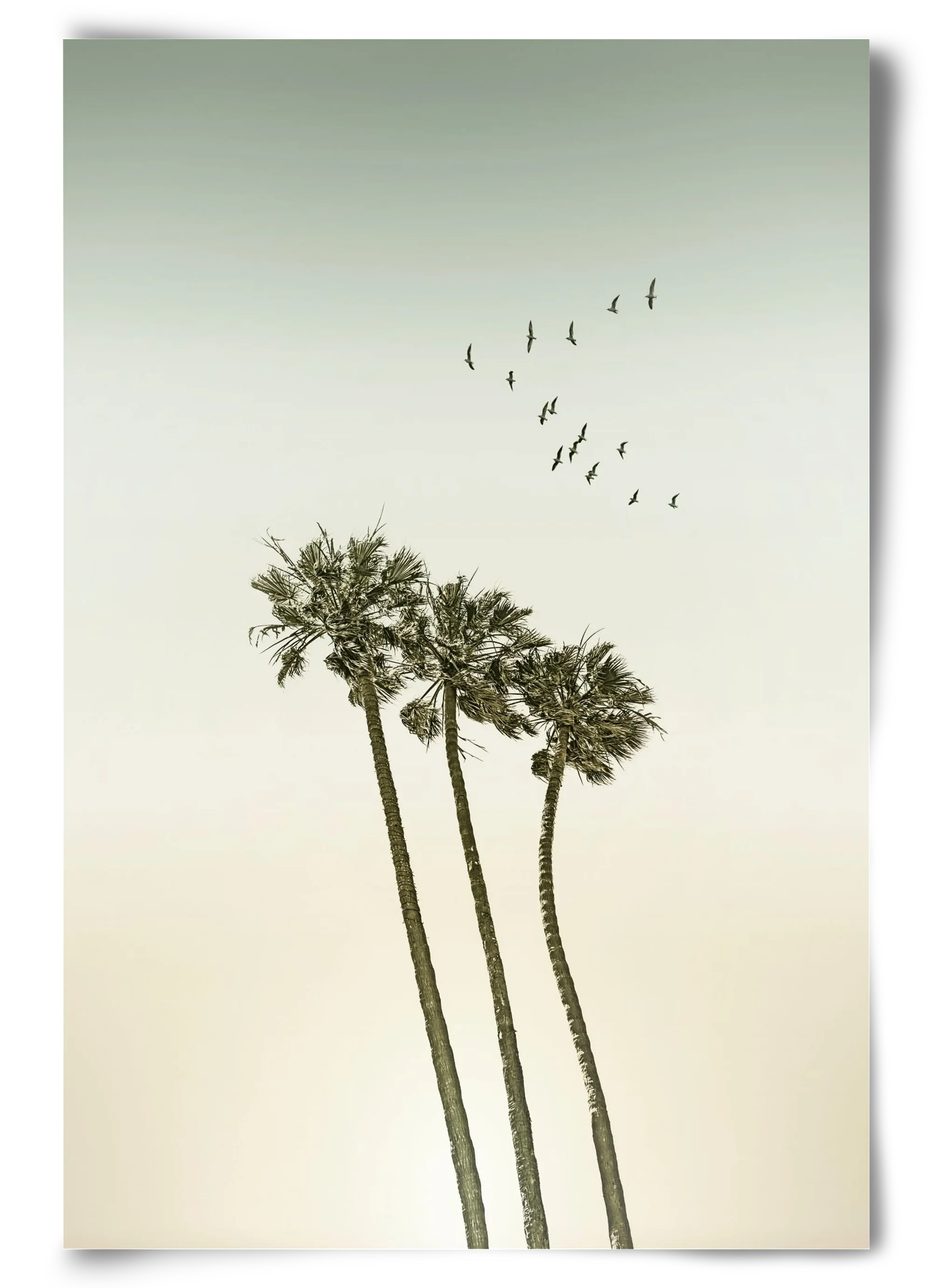 Vintage palm trees at sunset - artbridge
