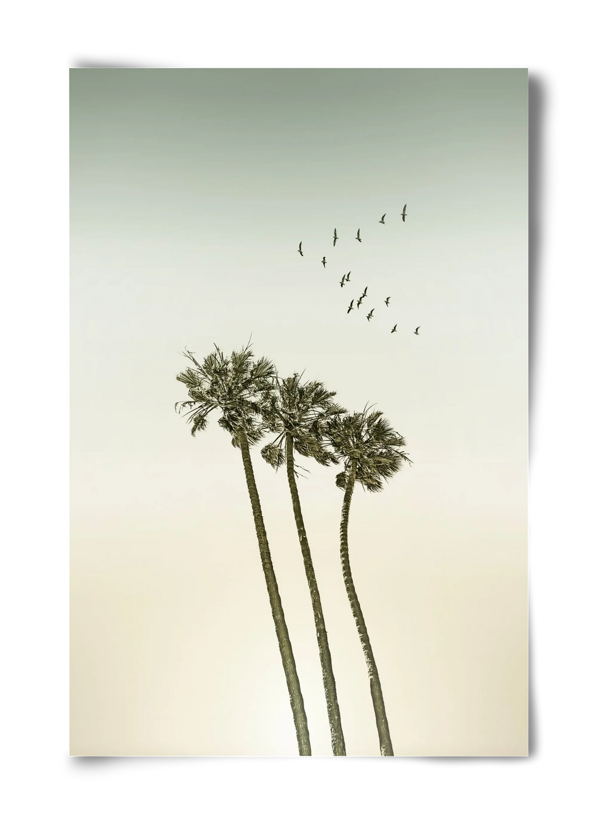 Vintage palm trees at sunset - artbridge
