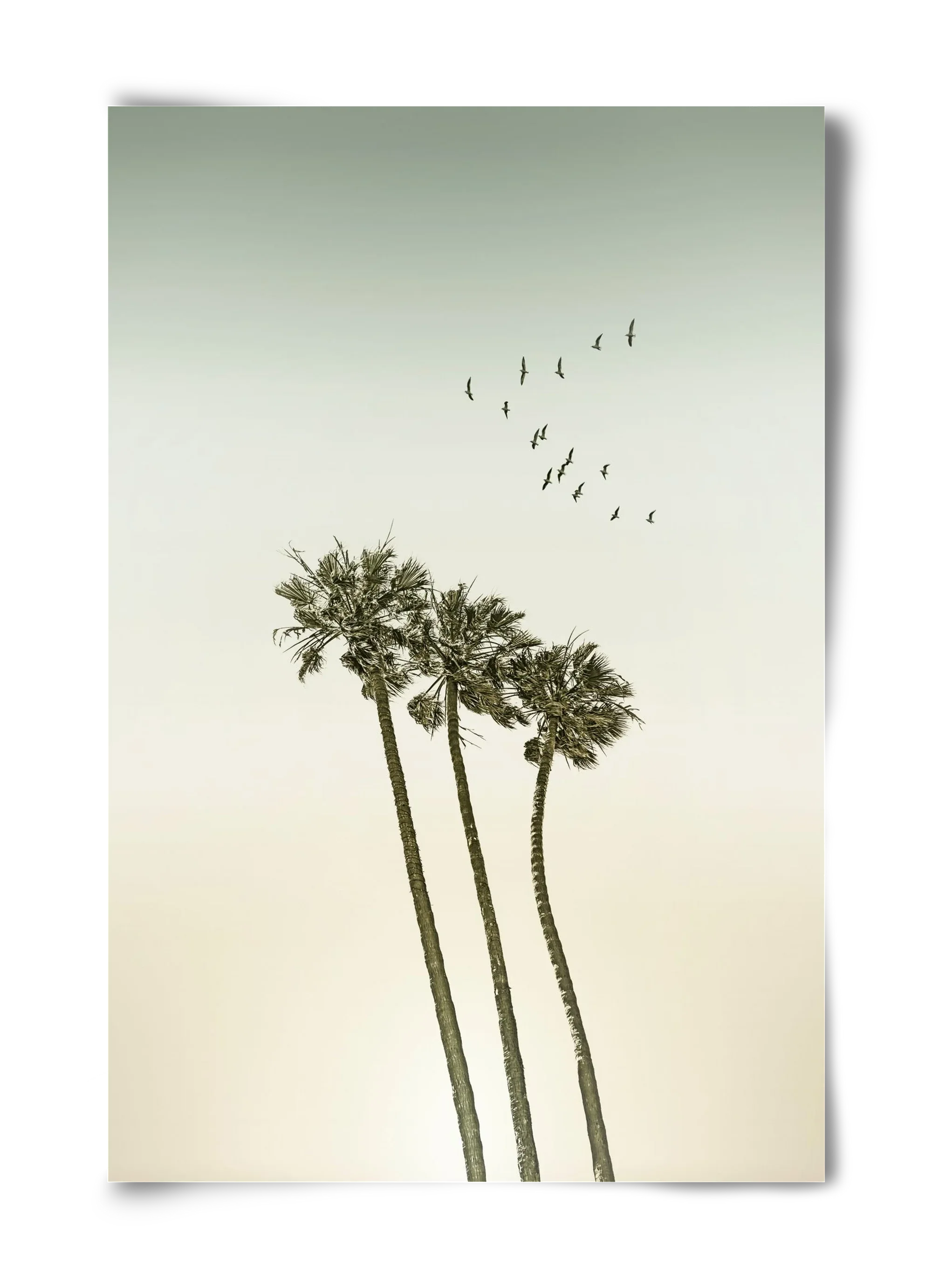 Vintage palm trees at sunset - artbridge
