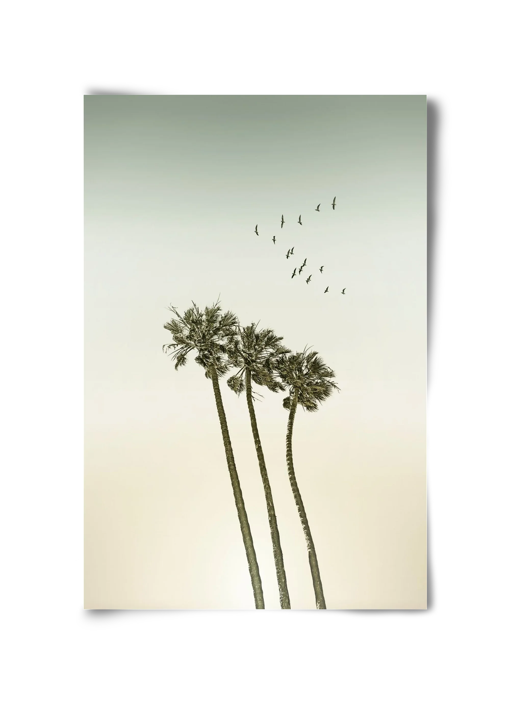 Vintage palm trees at sunset - artbridge