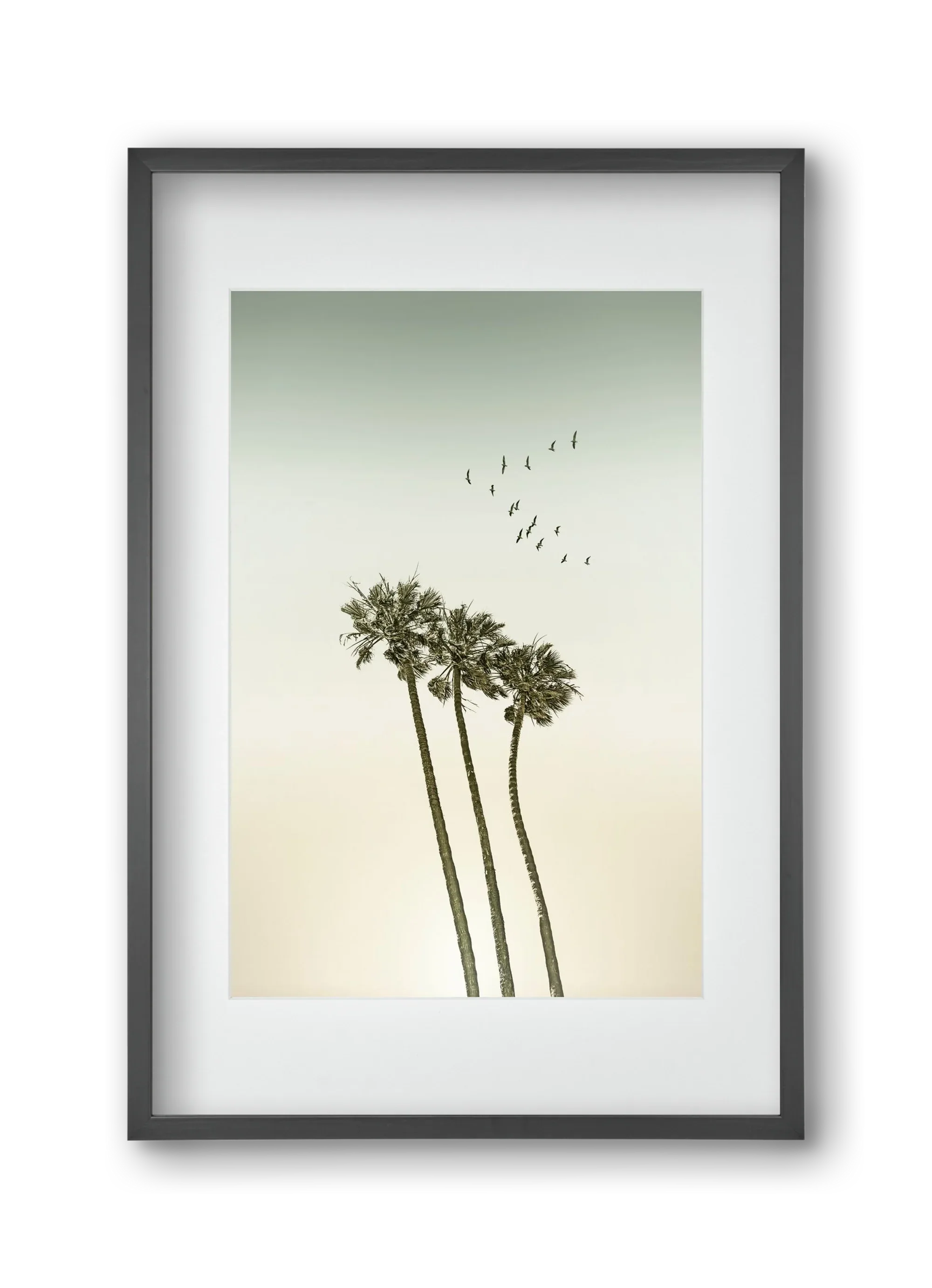 Vintage palm trees at sunset - artbridge