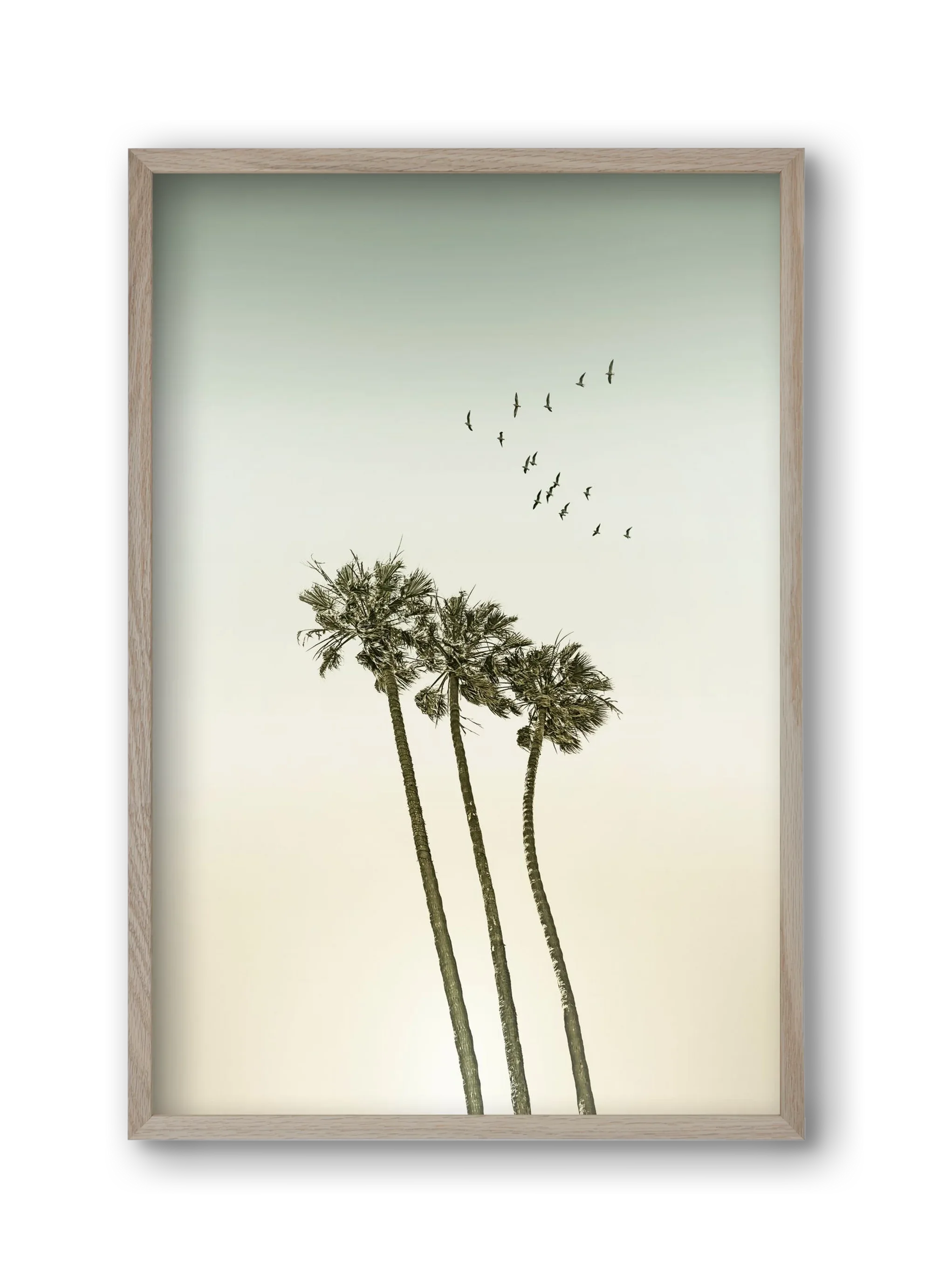 Vintage palm trees at sunset - artbridge