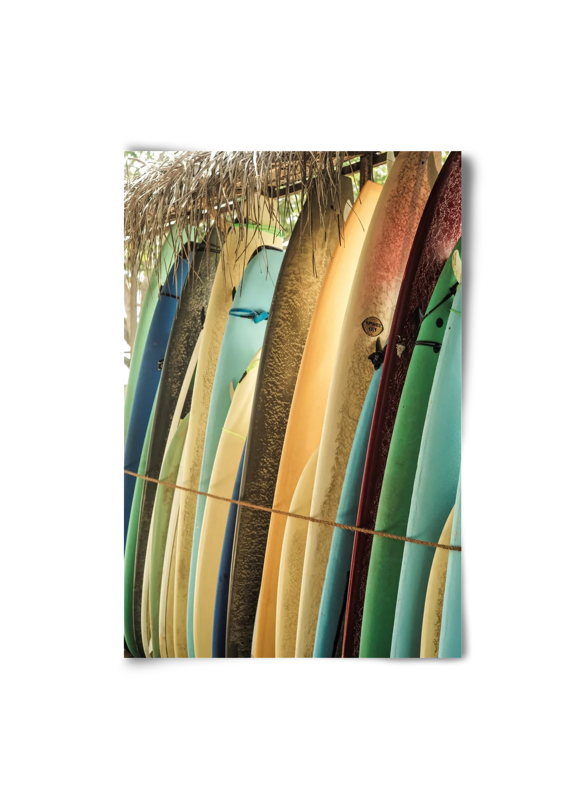 Ceylone Sliders - artbridge