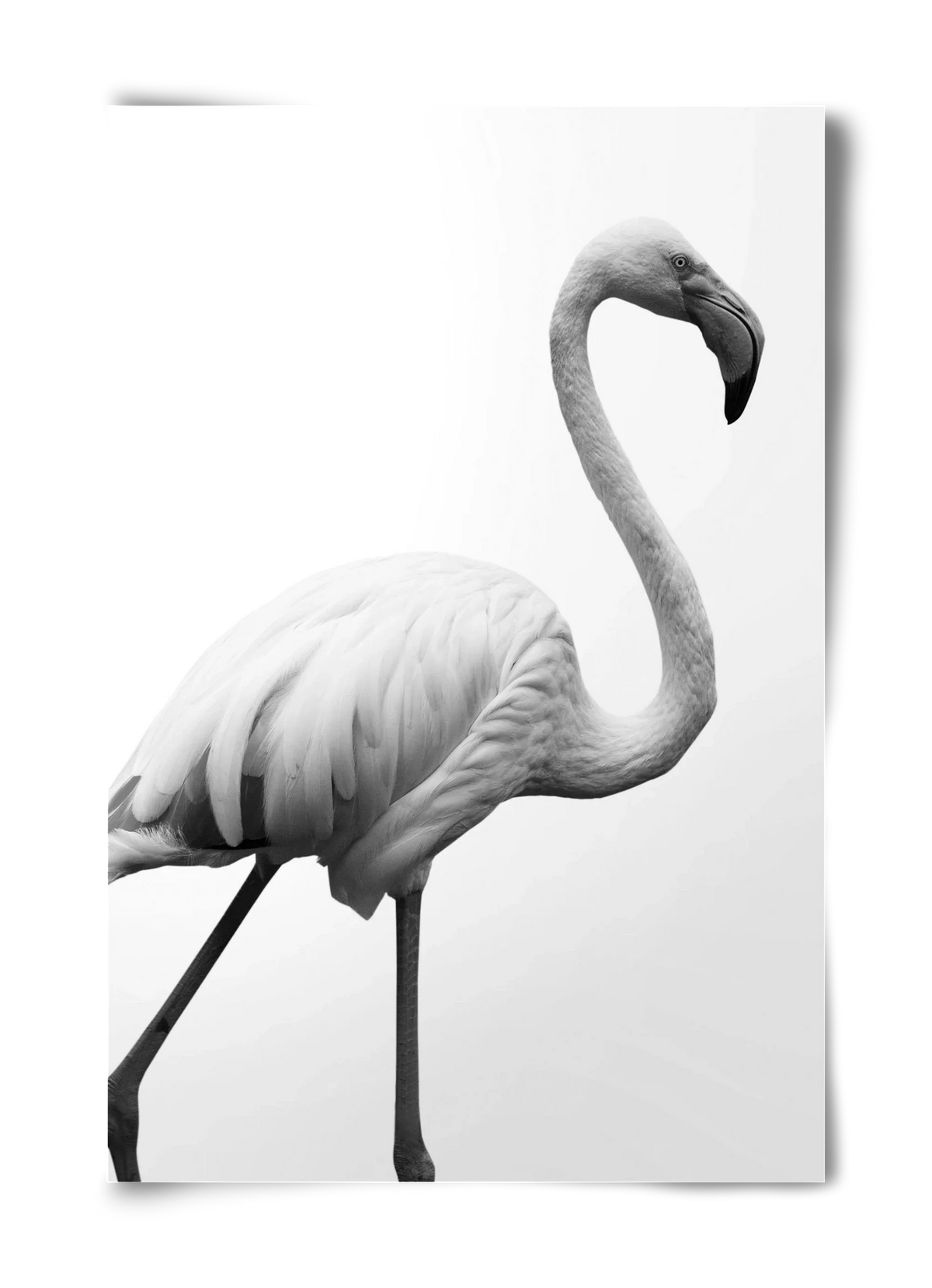 Dancer - artbridge
