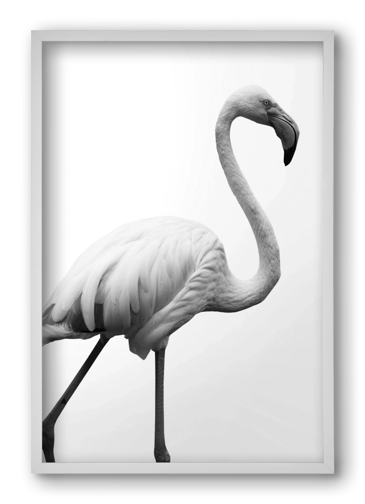 Dancer - artbridge