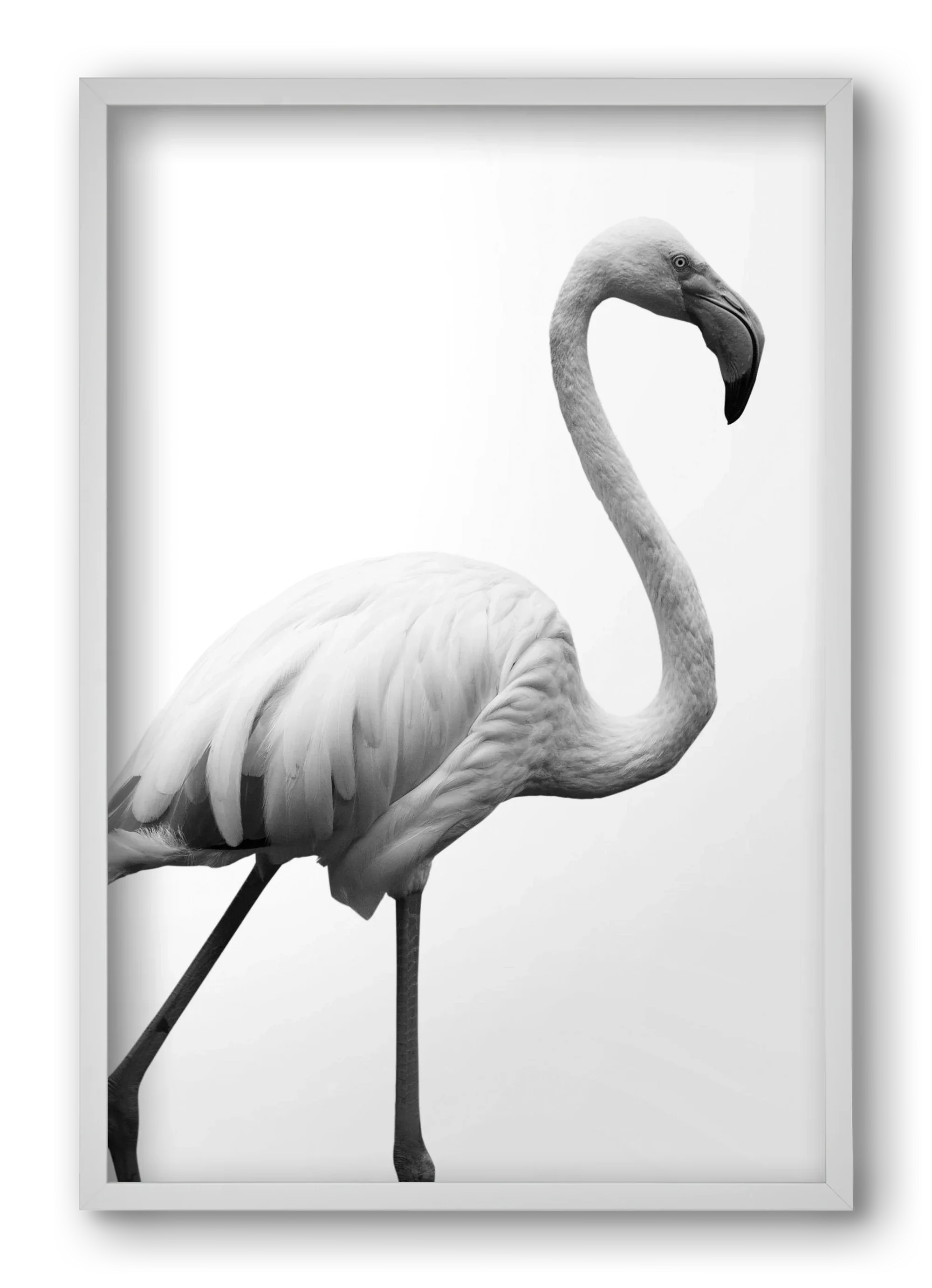 Dancer - artbridge
