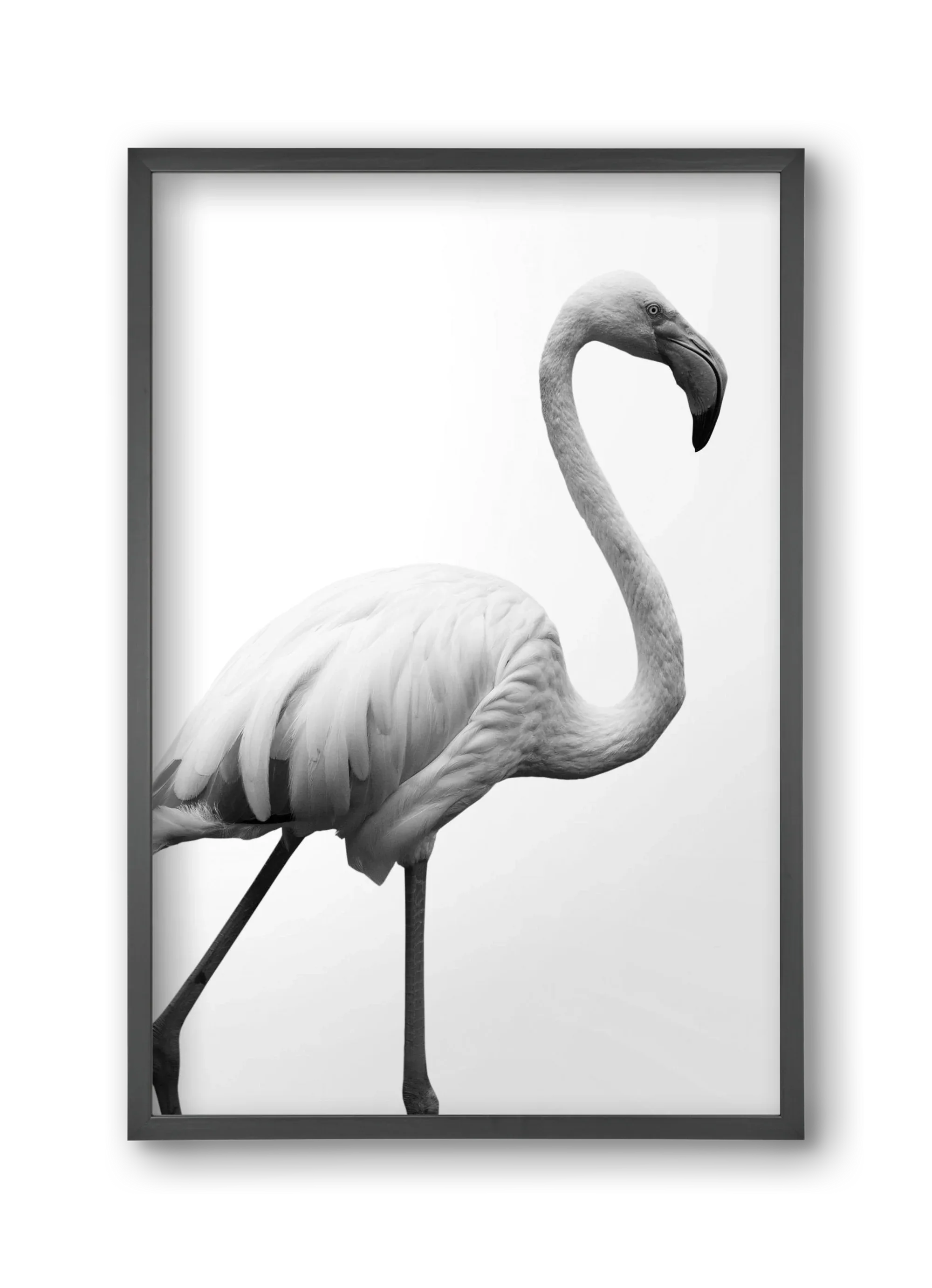 Dancer - artbridge