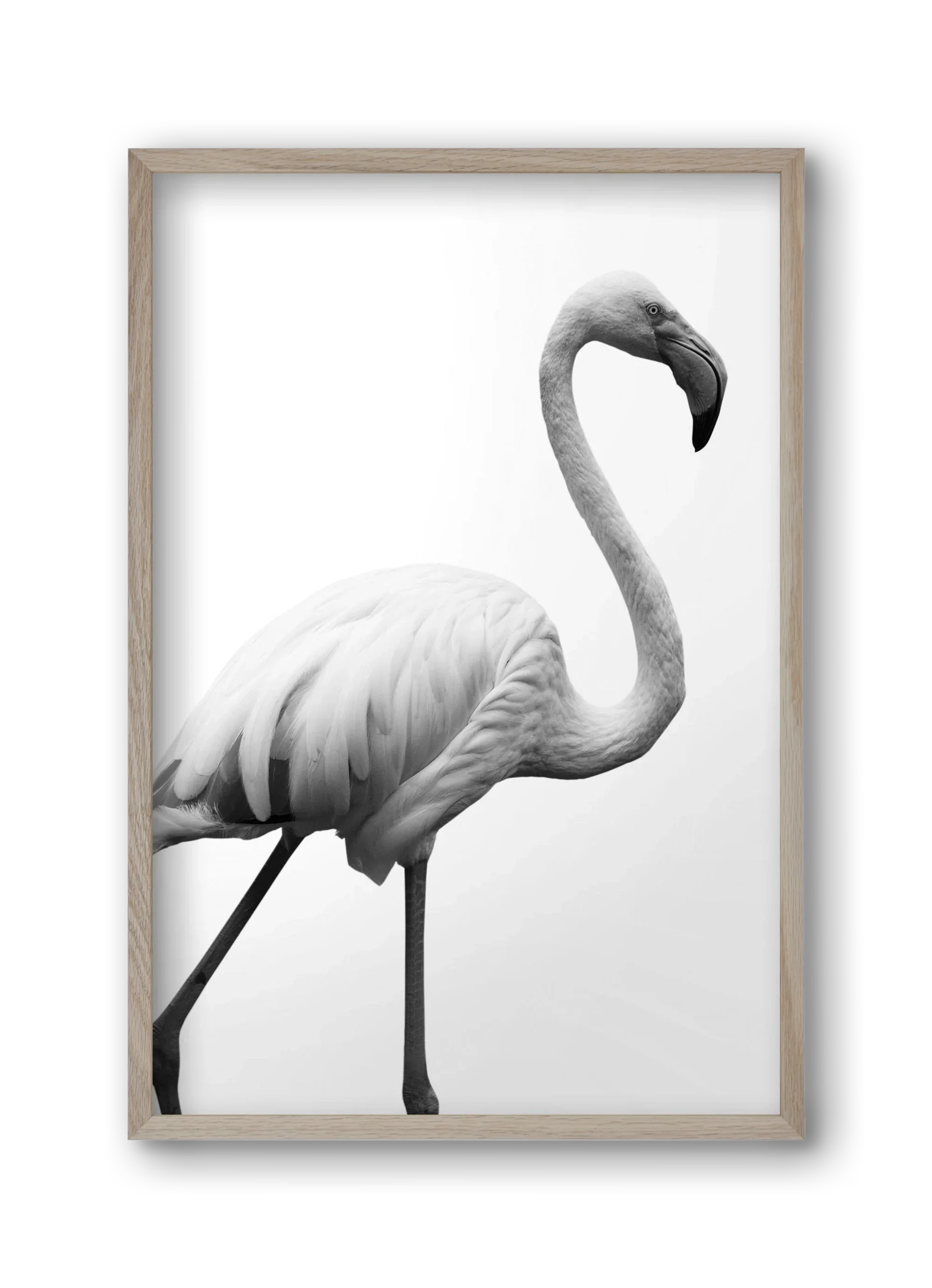 Dancer - artbridge