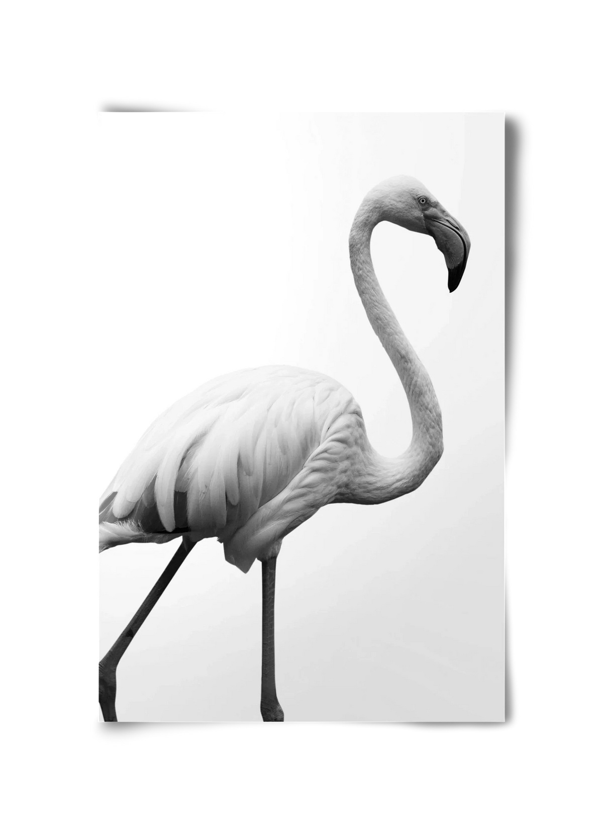 Dancer - artbridge