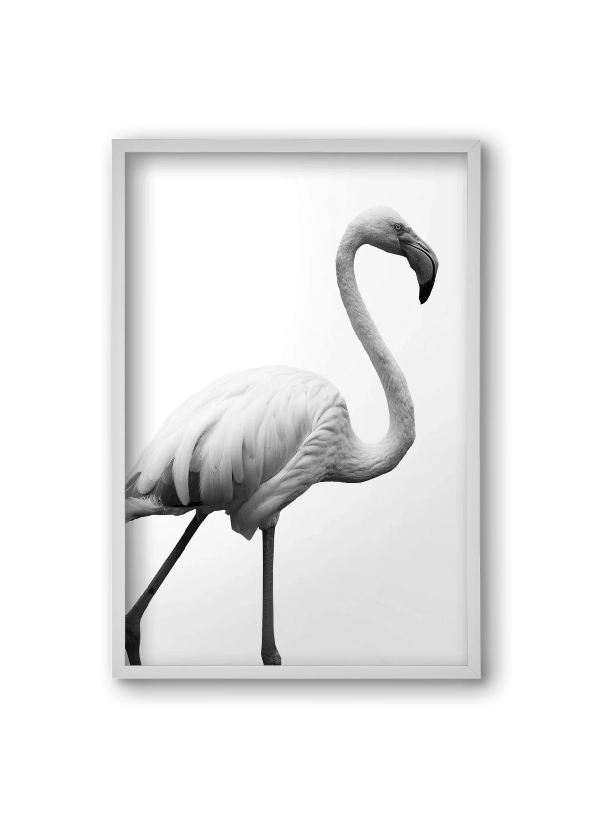 Dancer - artbridge