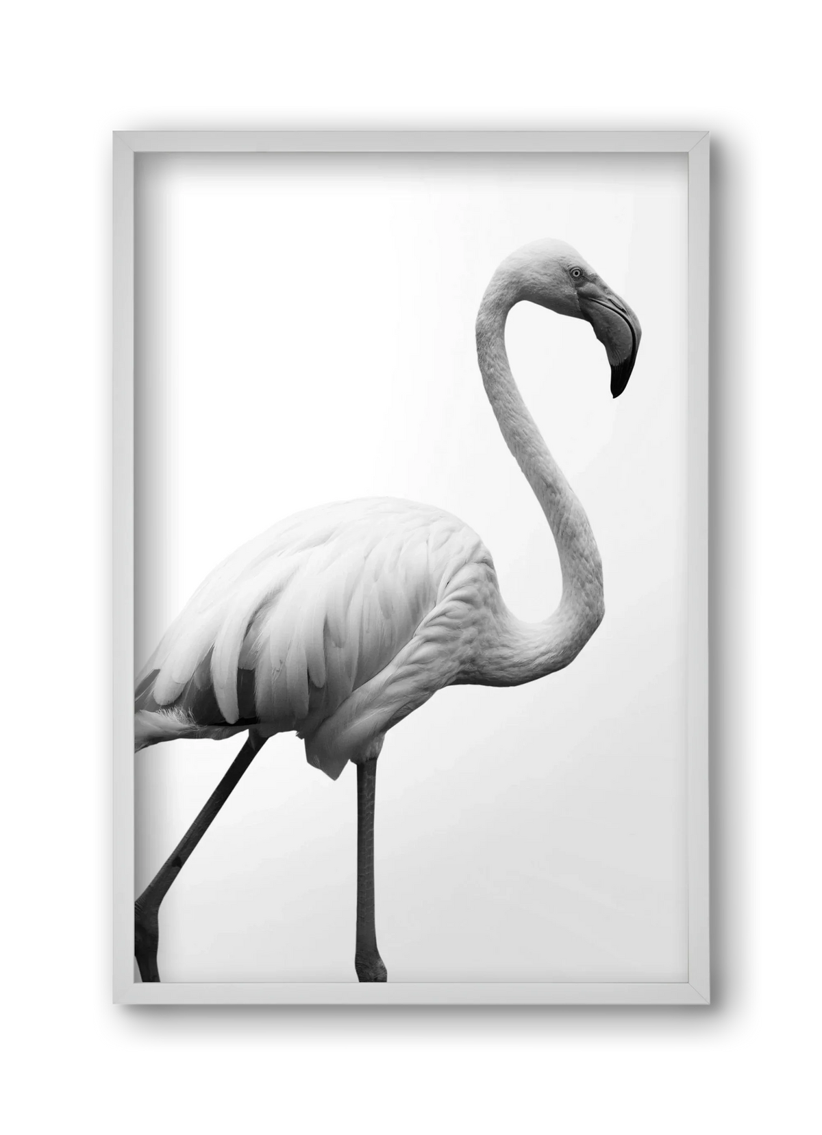 Dancer - artbridge