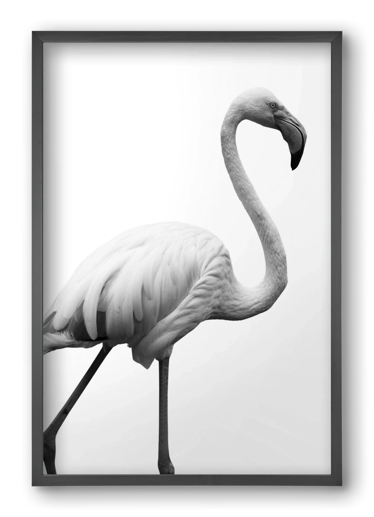 Dancer - artbridge