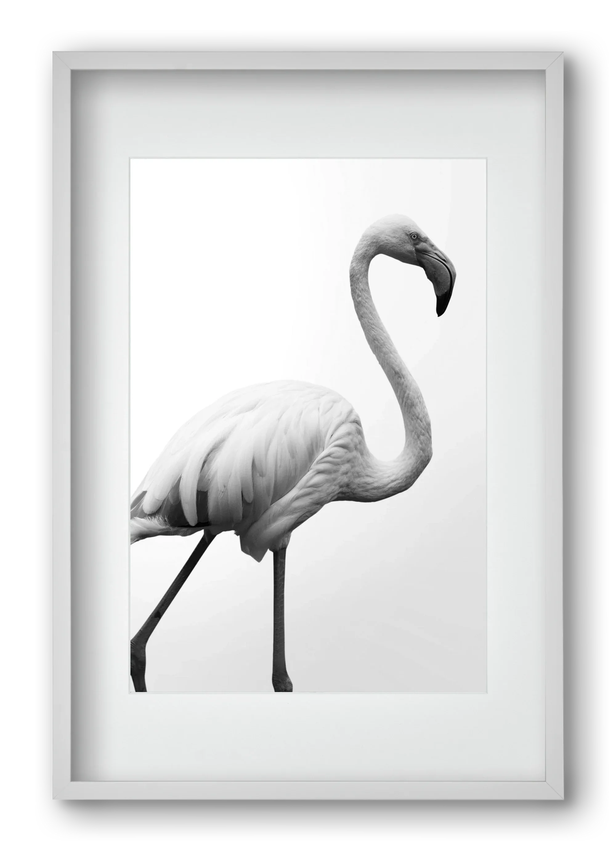 Dancer - artbridge