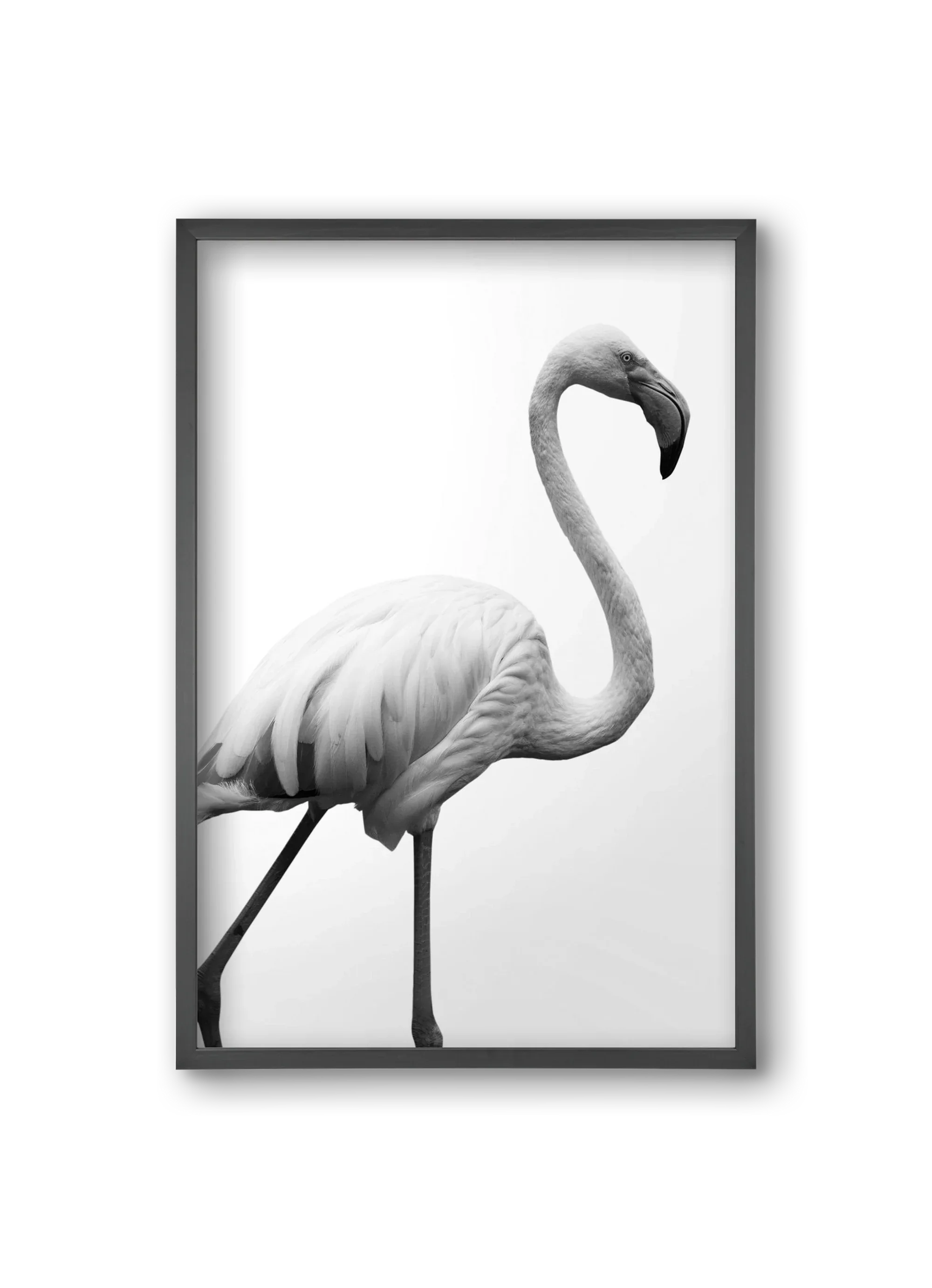Dancer - artbridge