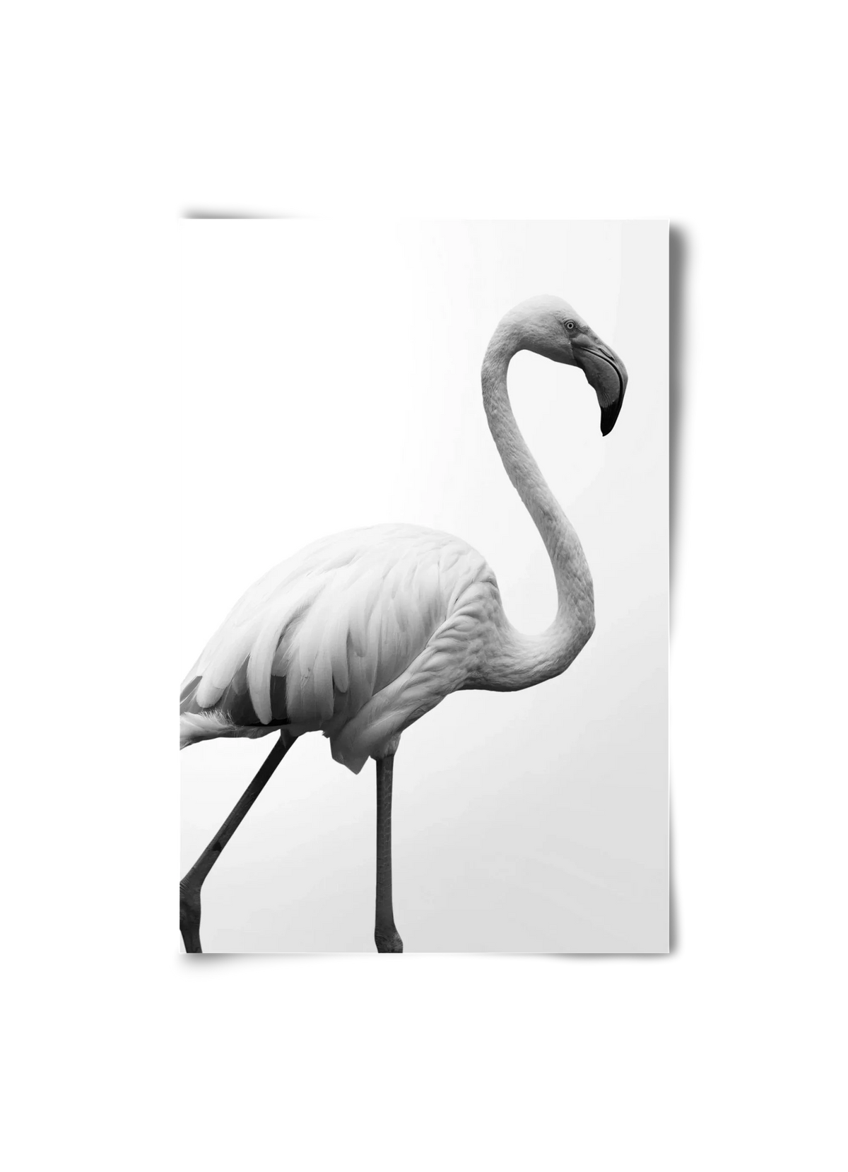 Dancer - artbridge