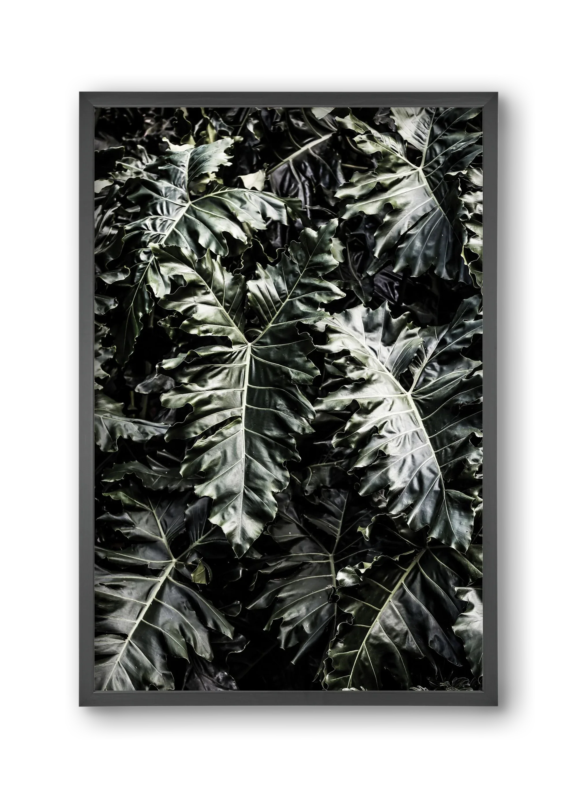 Monster - artbridge