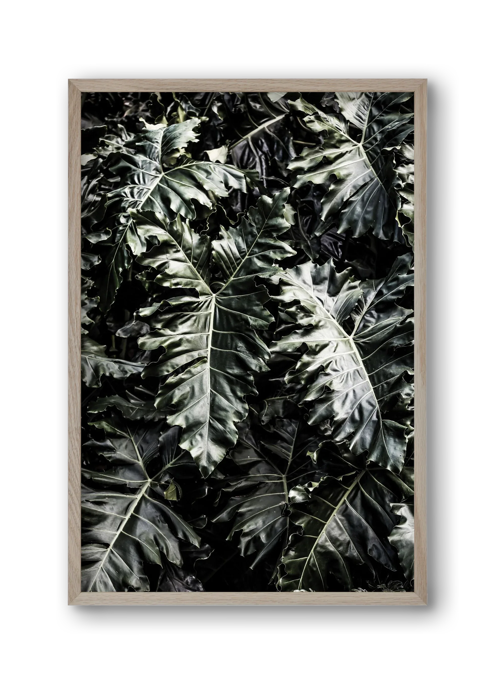 Monster - artbridge