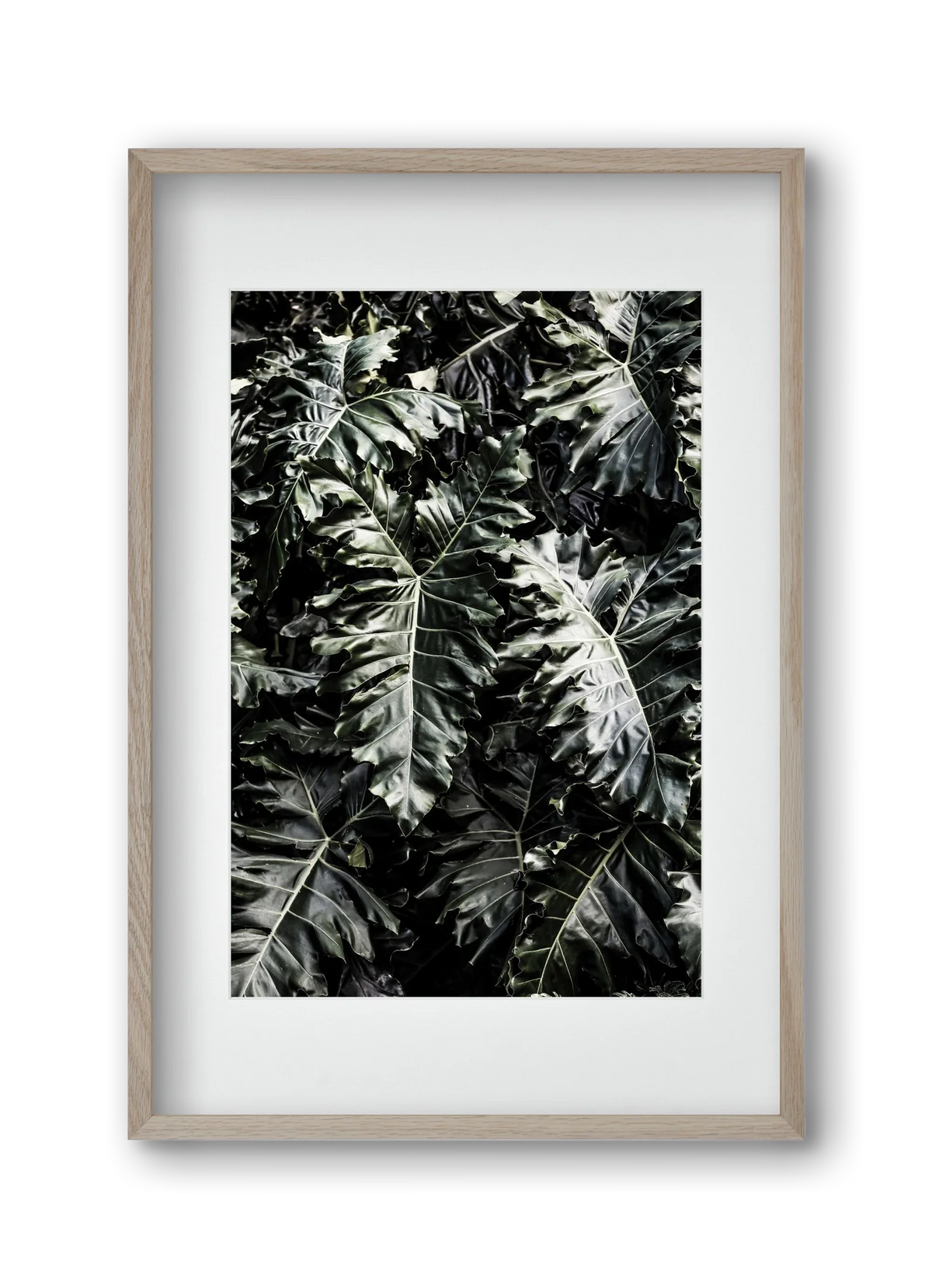Monster - artbridge