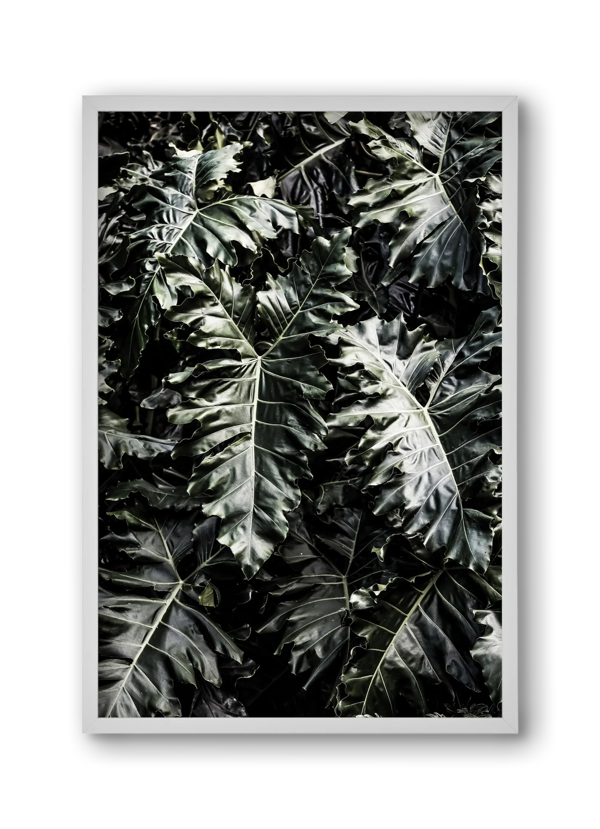 Monster - artbridge