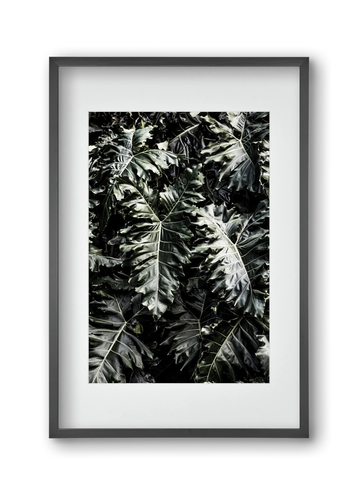 Monster - artbridge