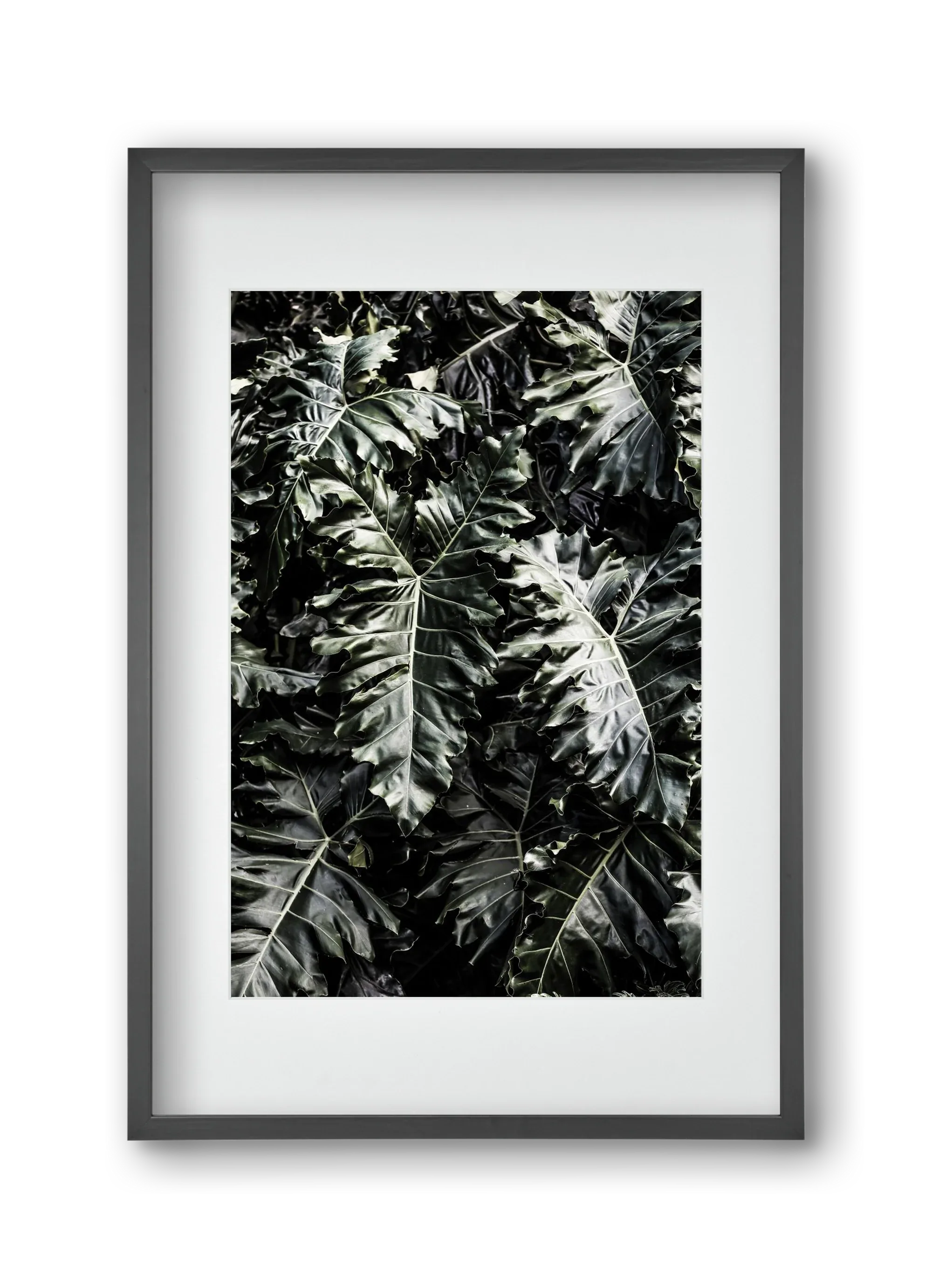 Monster - artbridge