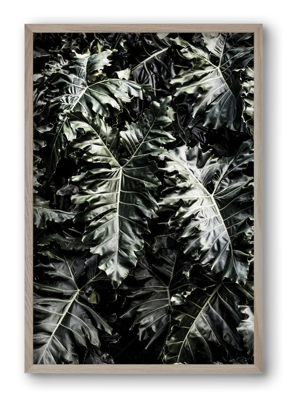 Monster - artbridge